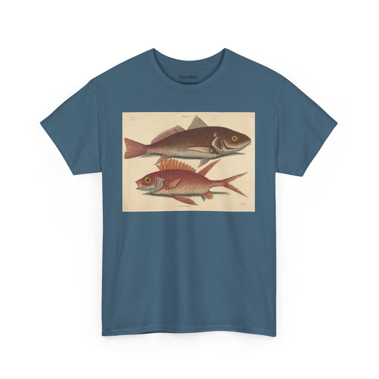 Gone Fishing