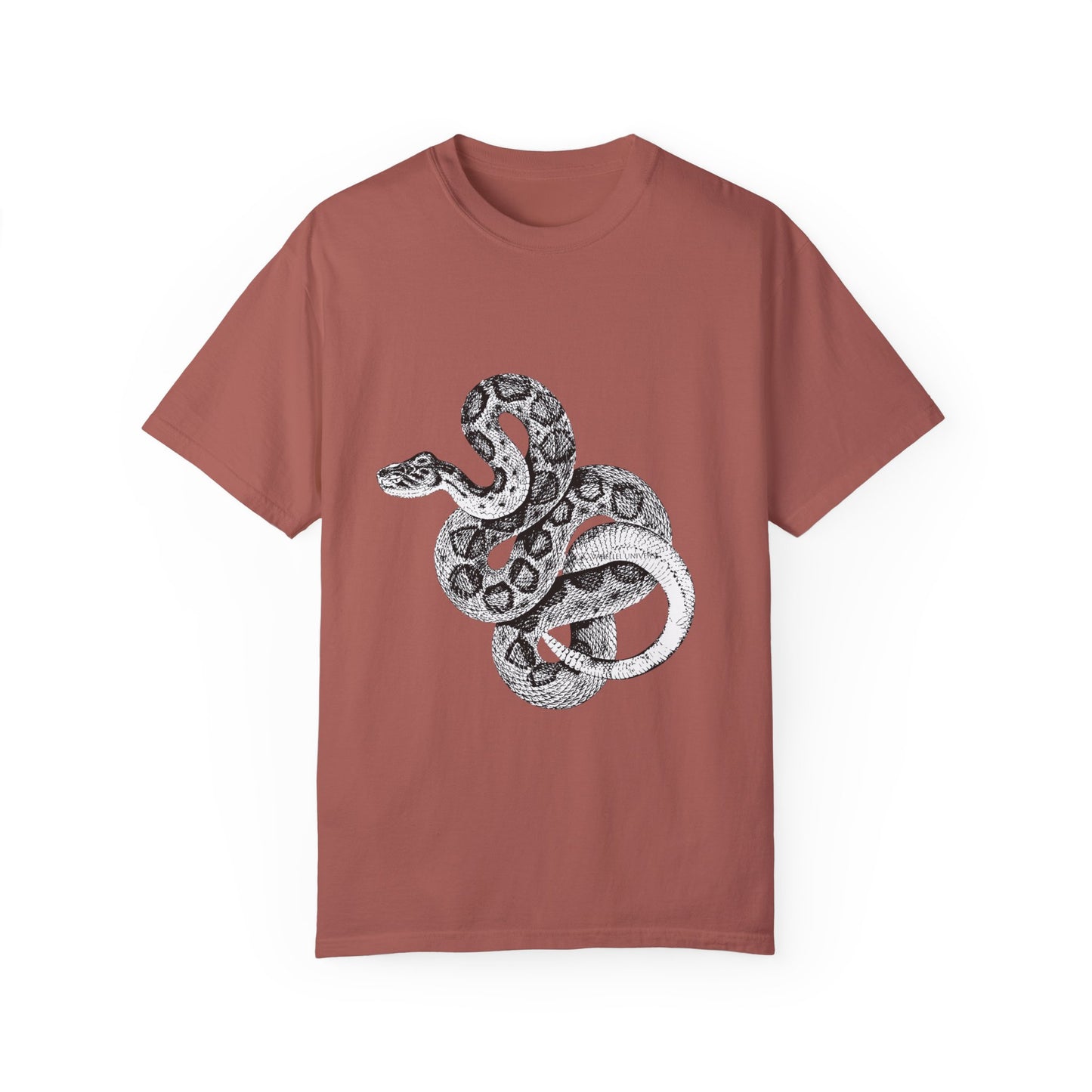 Year of the Snake