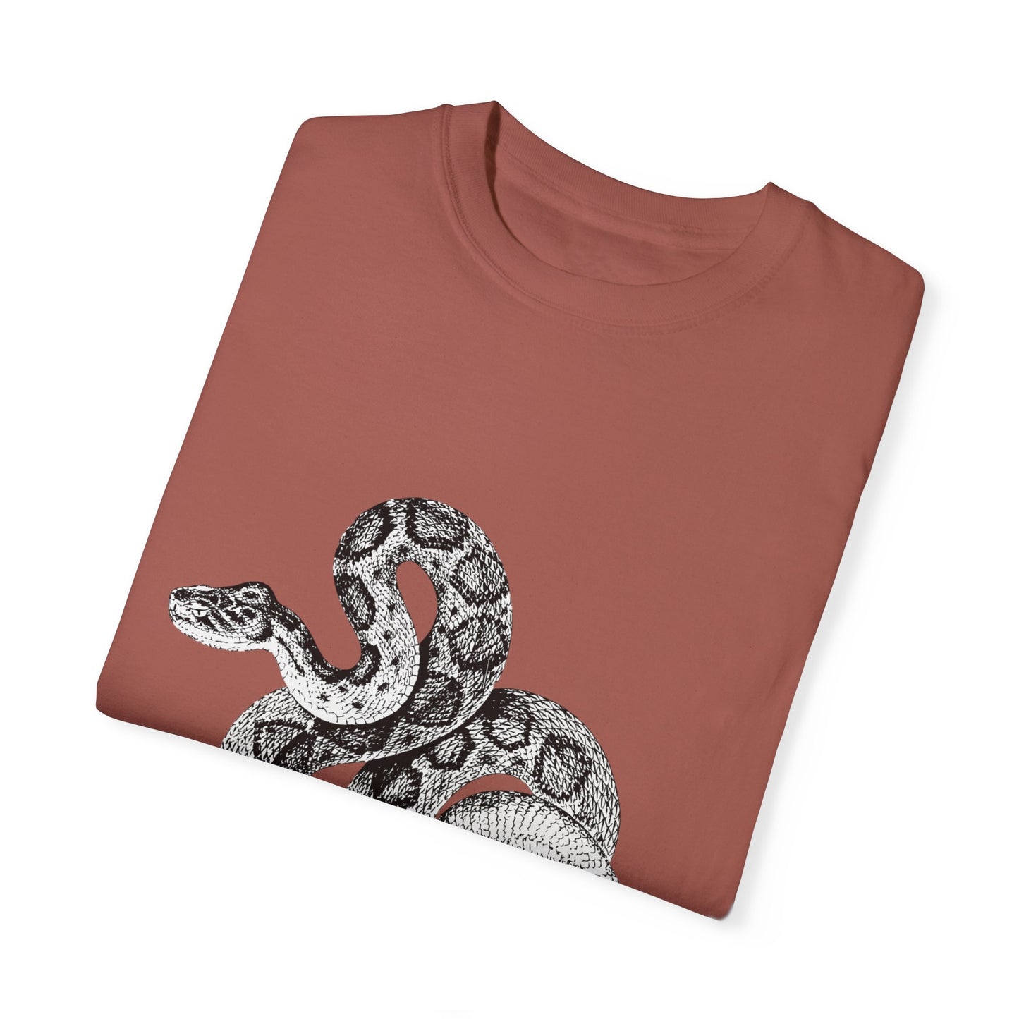 Year of the Snake
