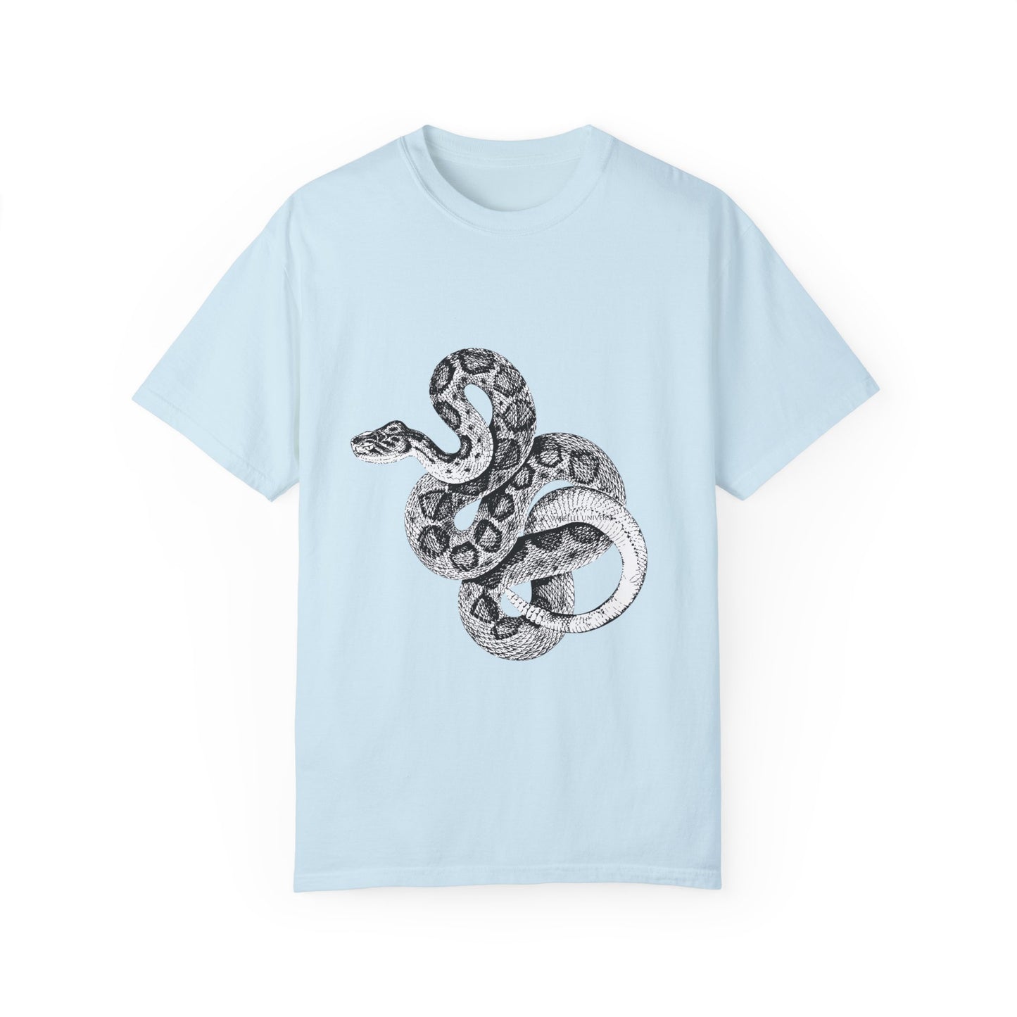 Year of the Snake