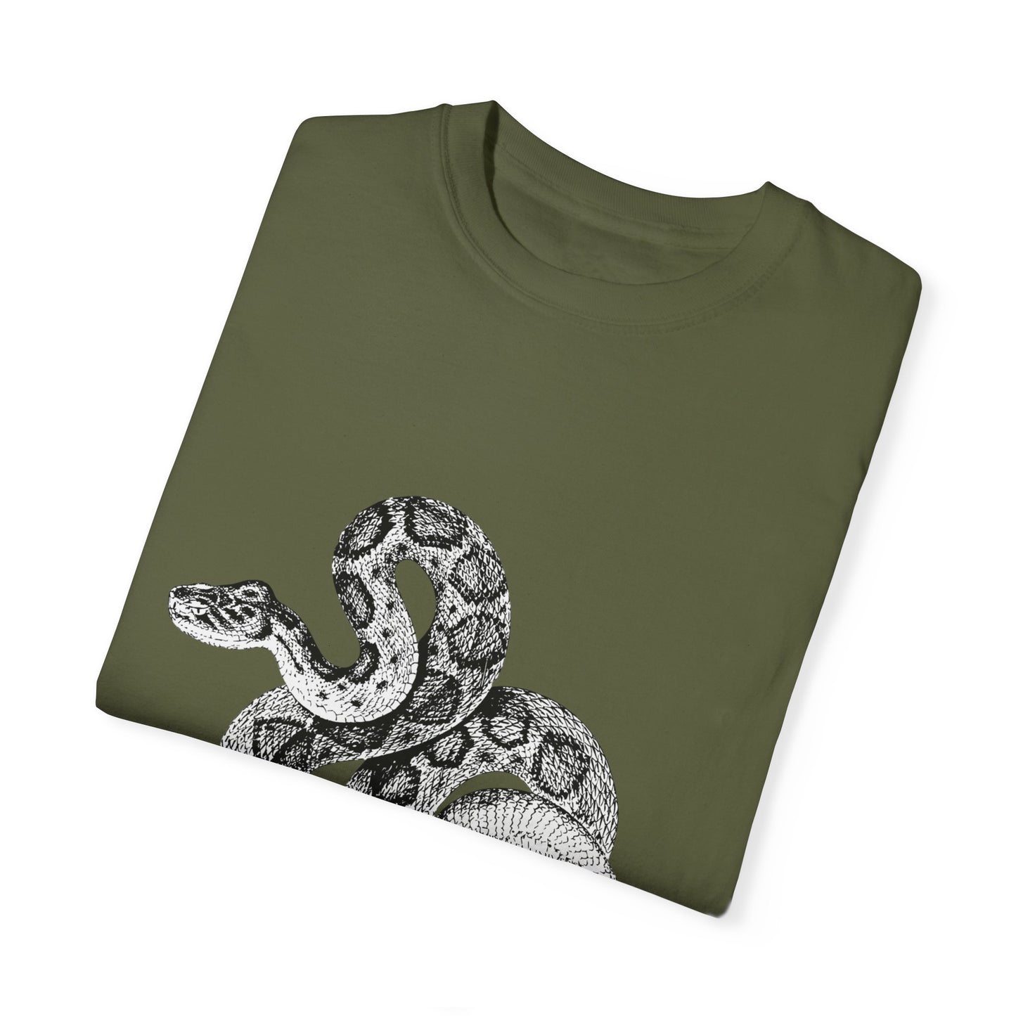 Year of the Snake