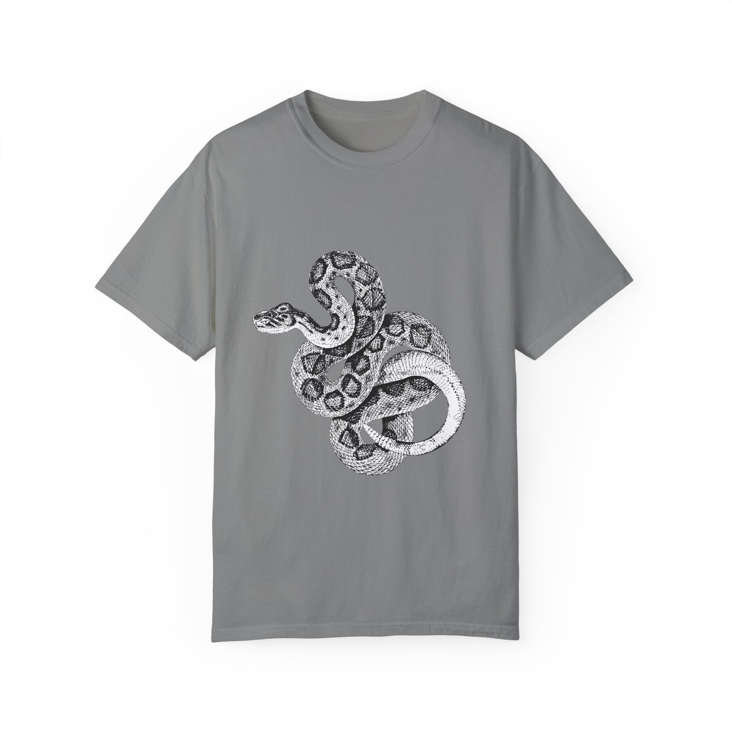 Year of the Snake
