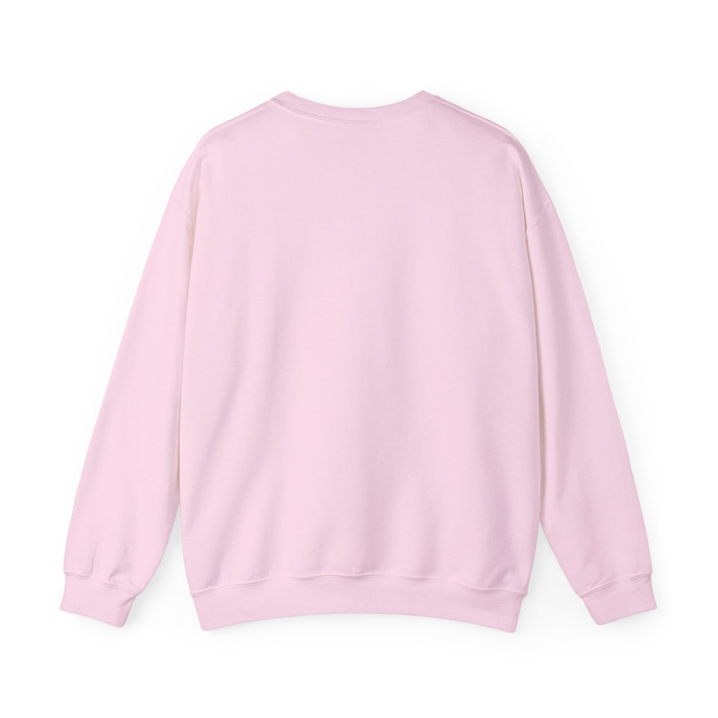 Plane Sweatshirt