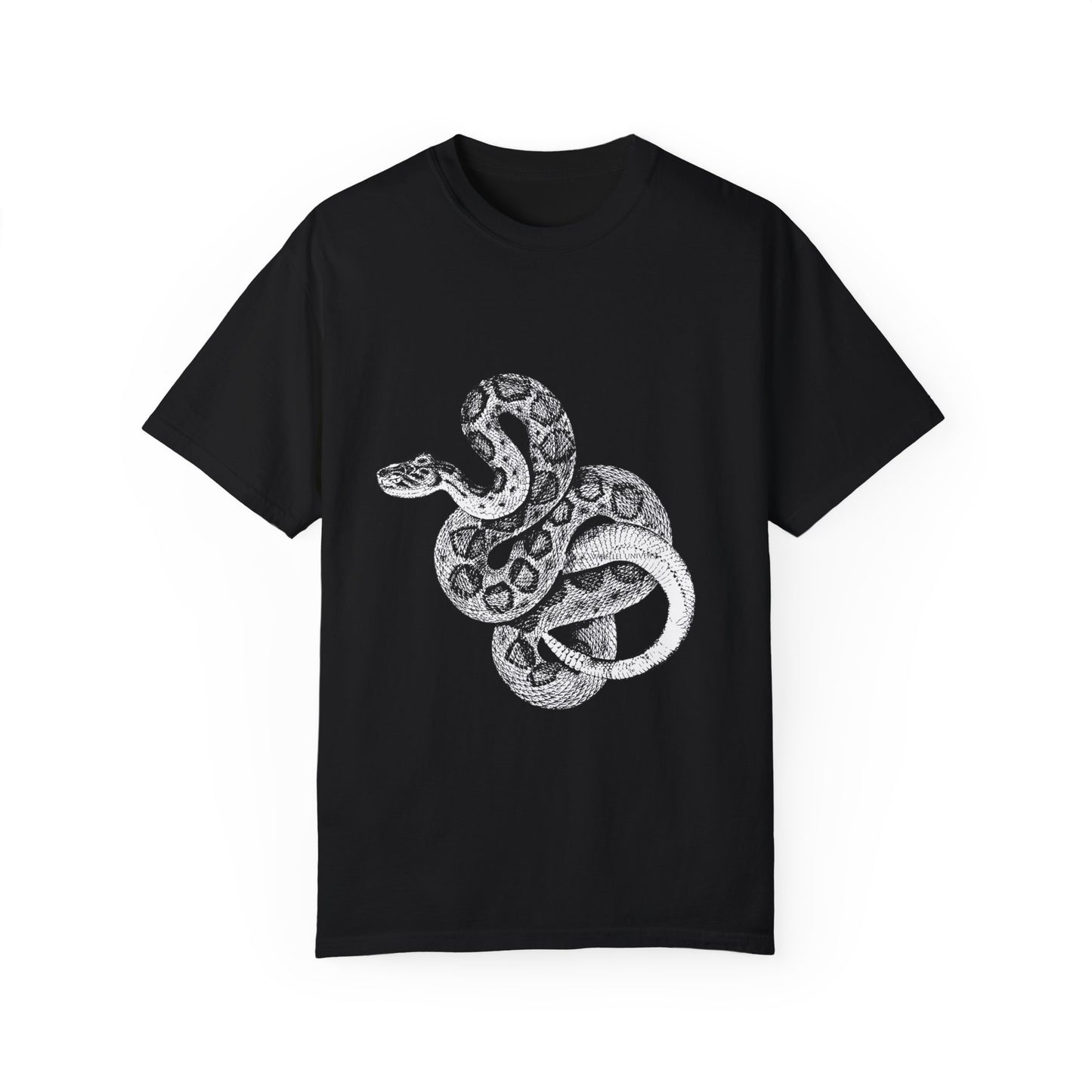 Year of the Snake