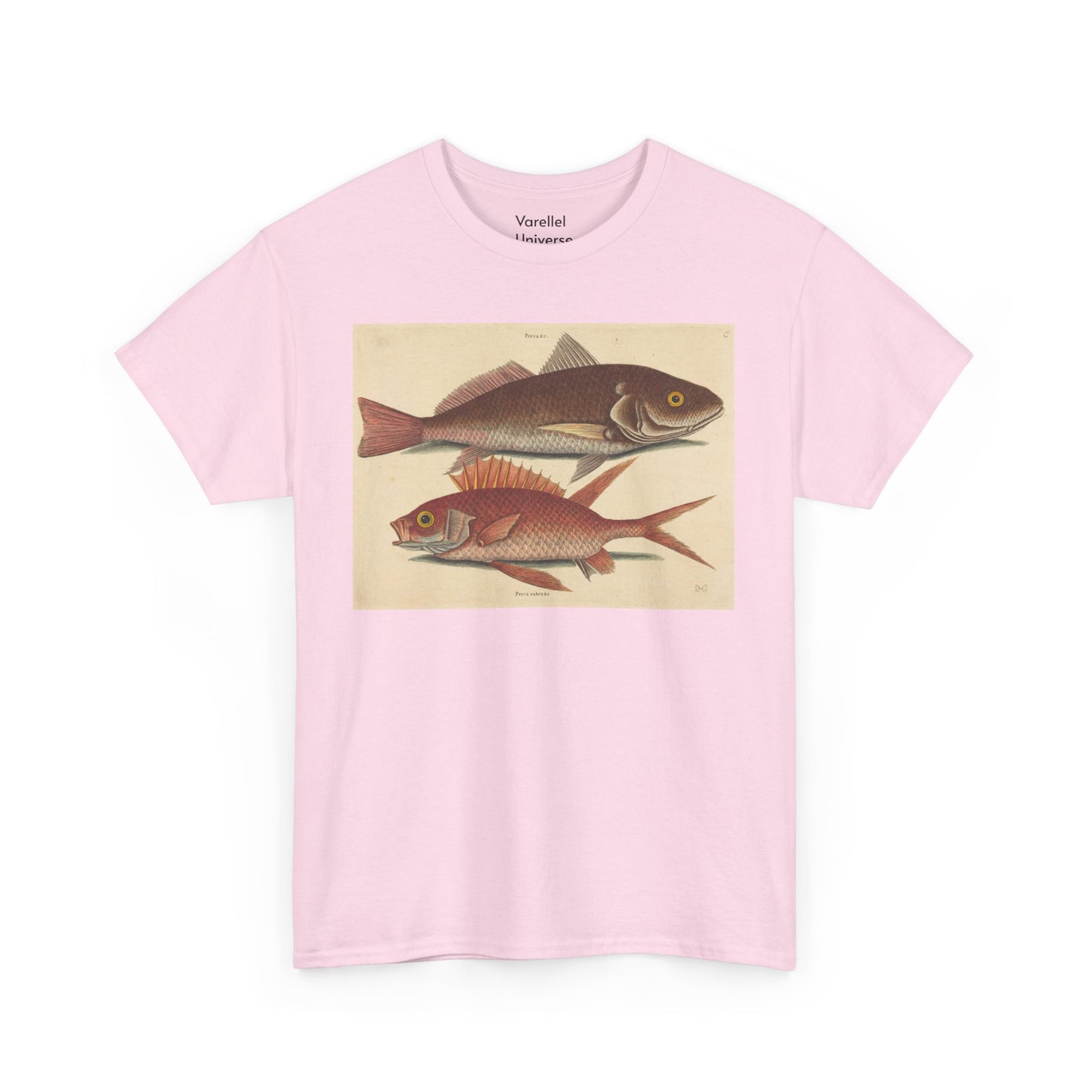 Gone Fishing