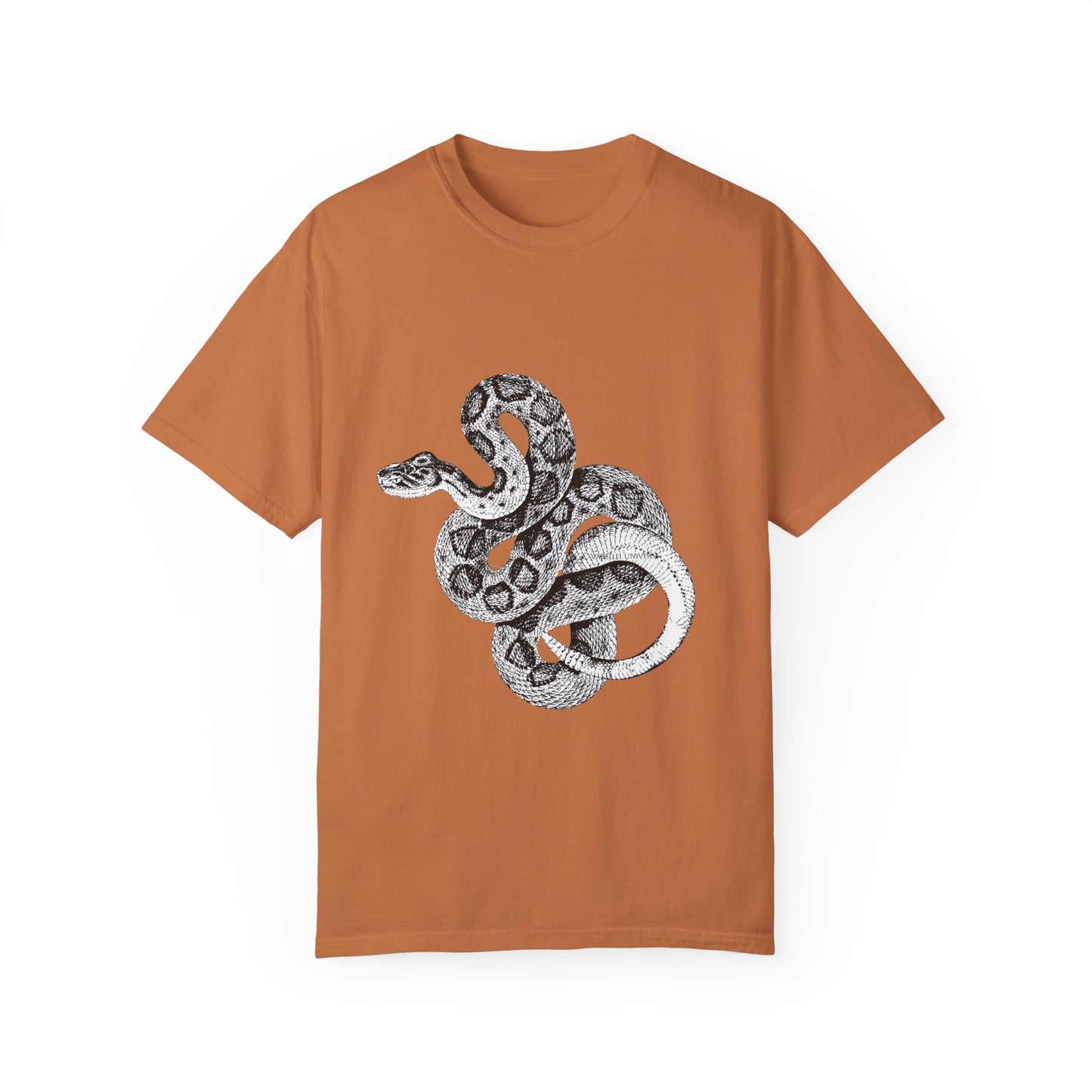 Year of the Snake