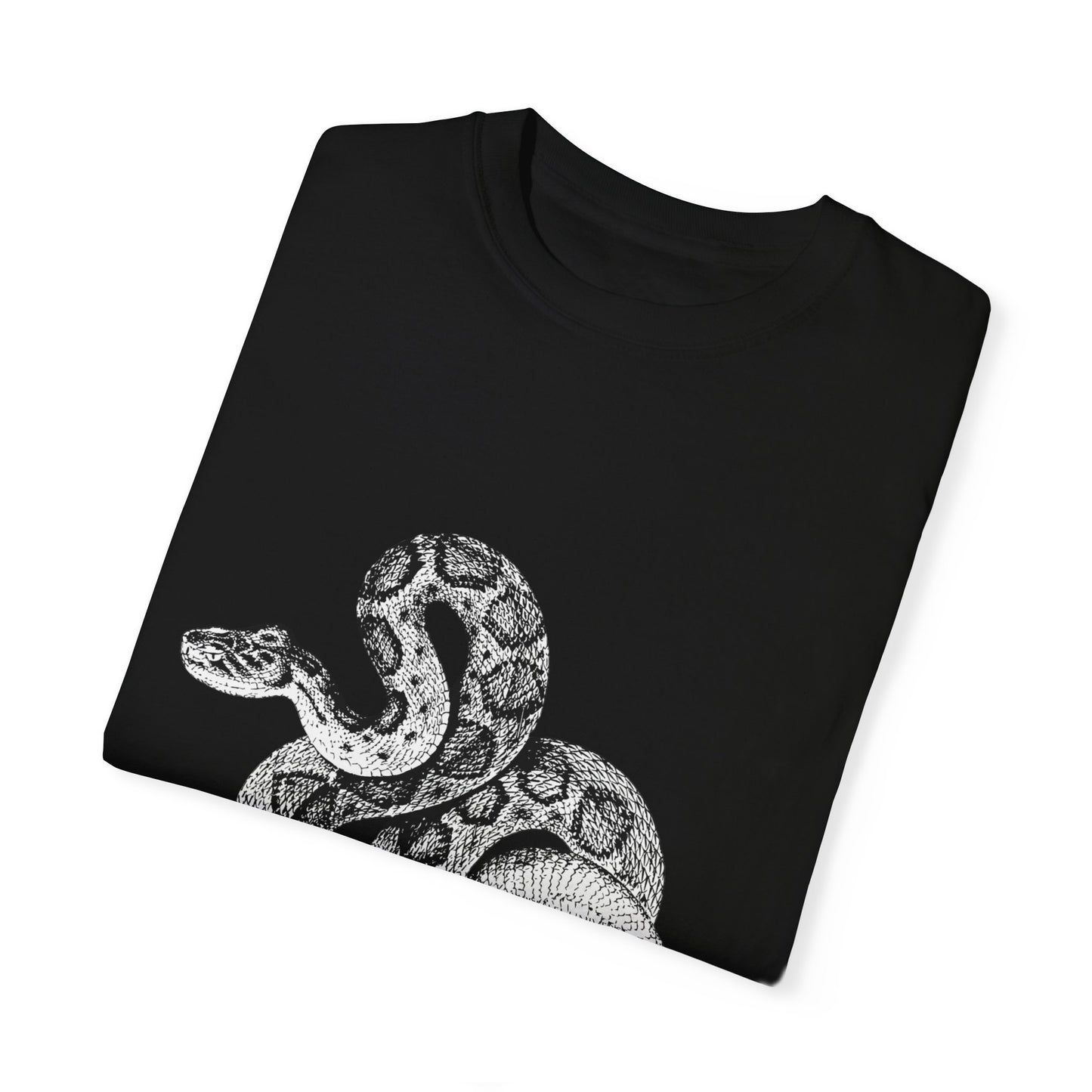 Year of the Snake