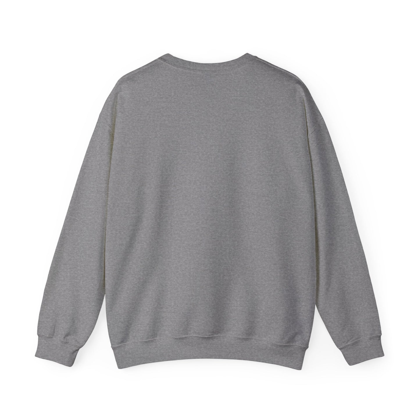 Plane Sweatshirt