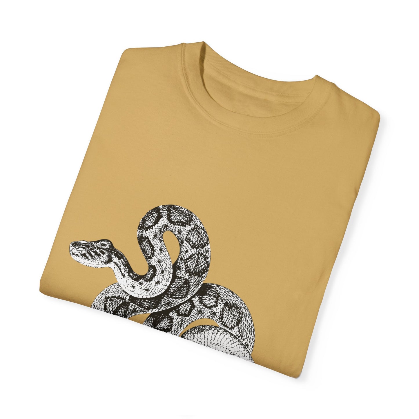Year of the Snake