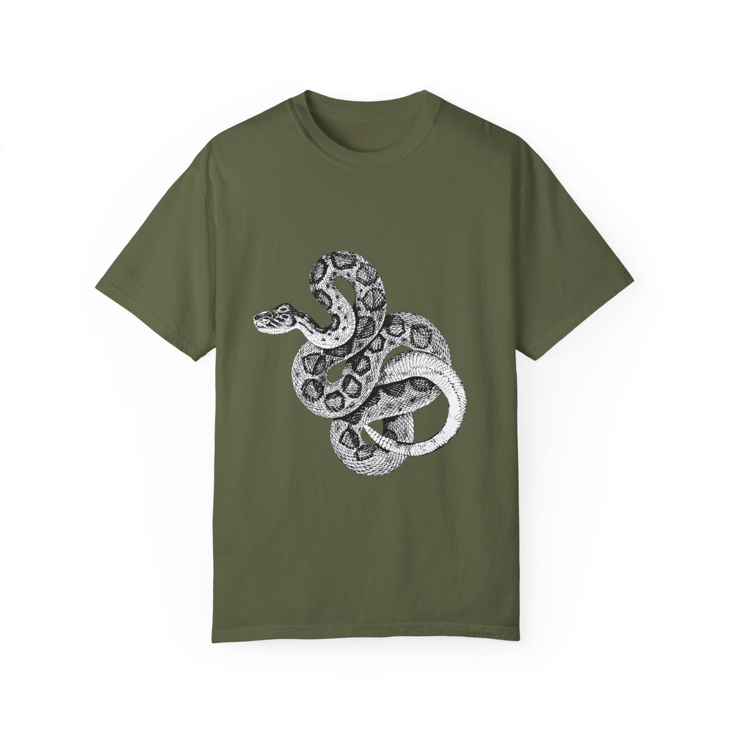 Year of the Snake