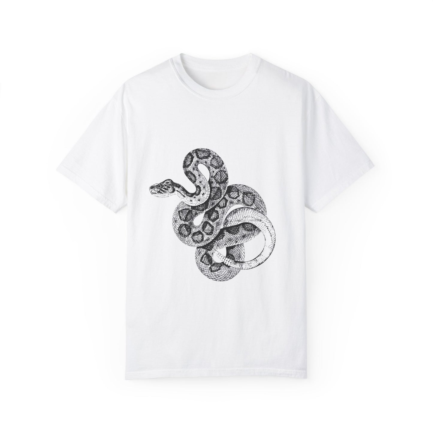 Year of the Snake