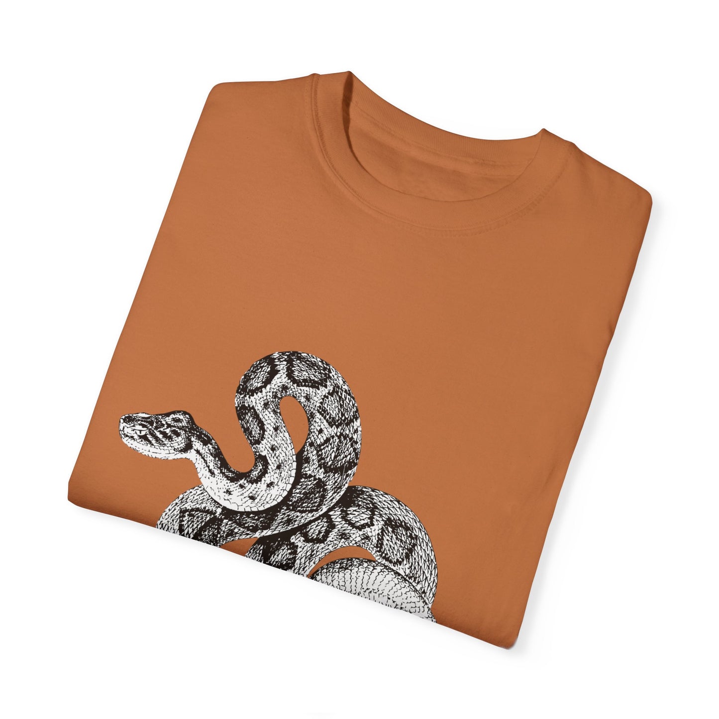 Year of the Snake