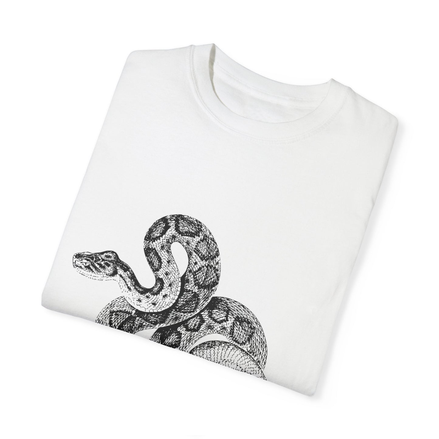 Year of the Snake