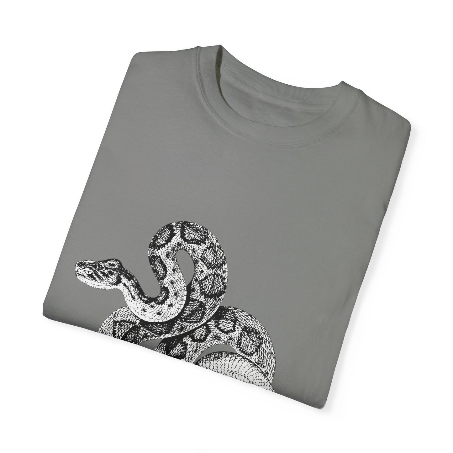 Year of the Snake