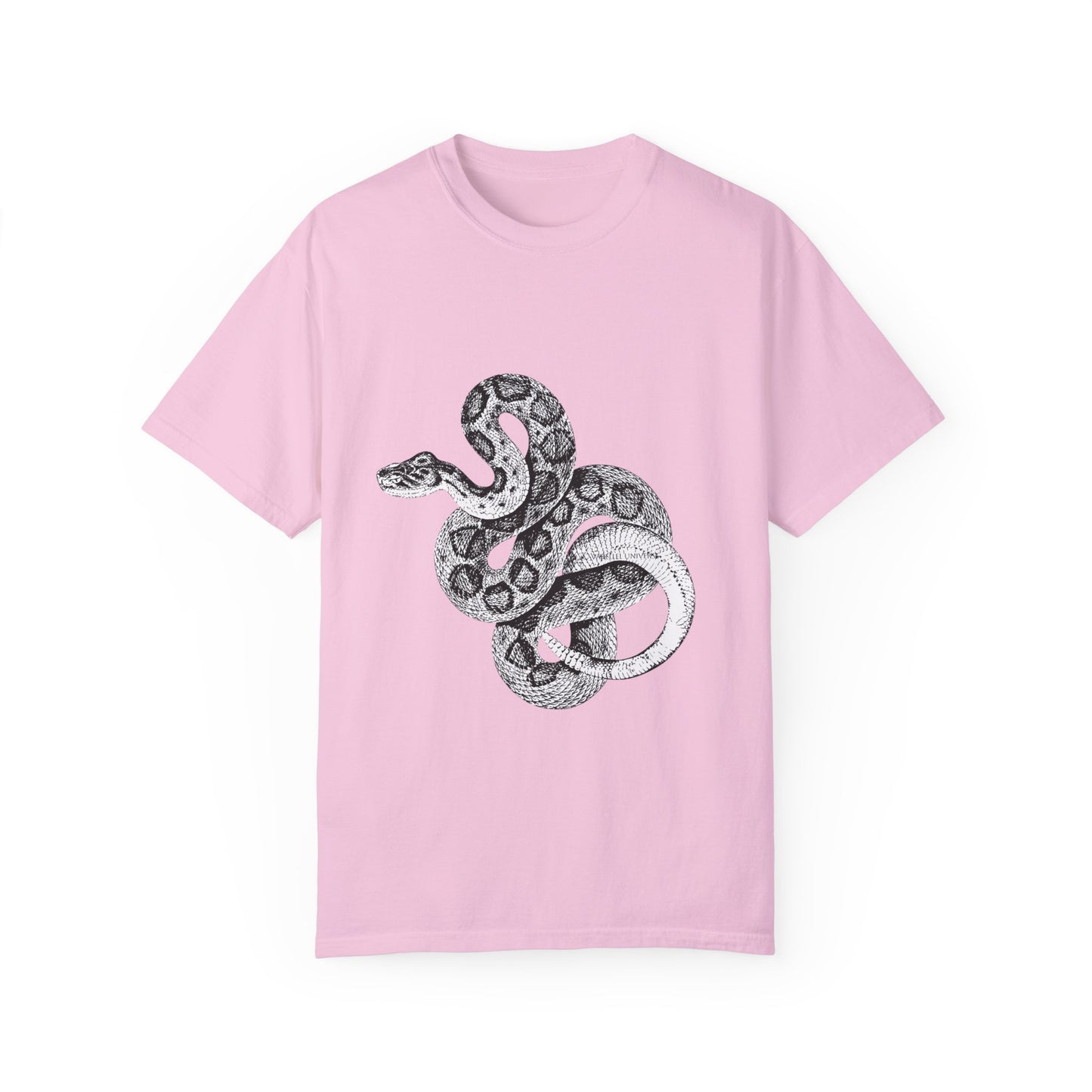 Year of the Snake