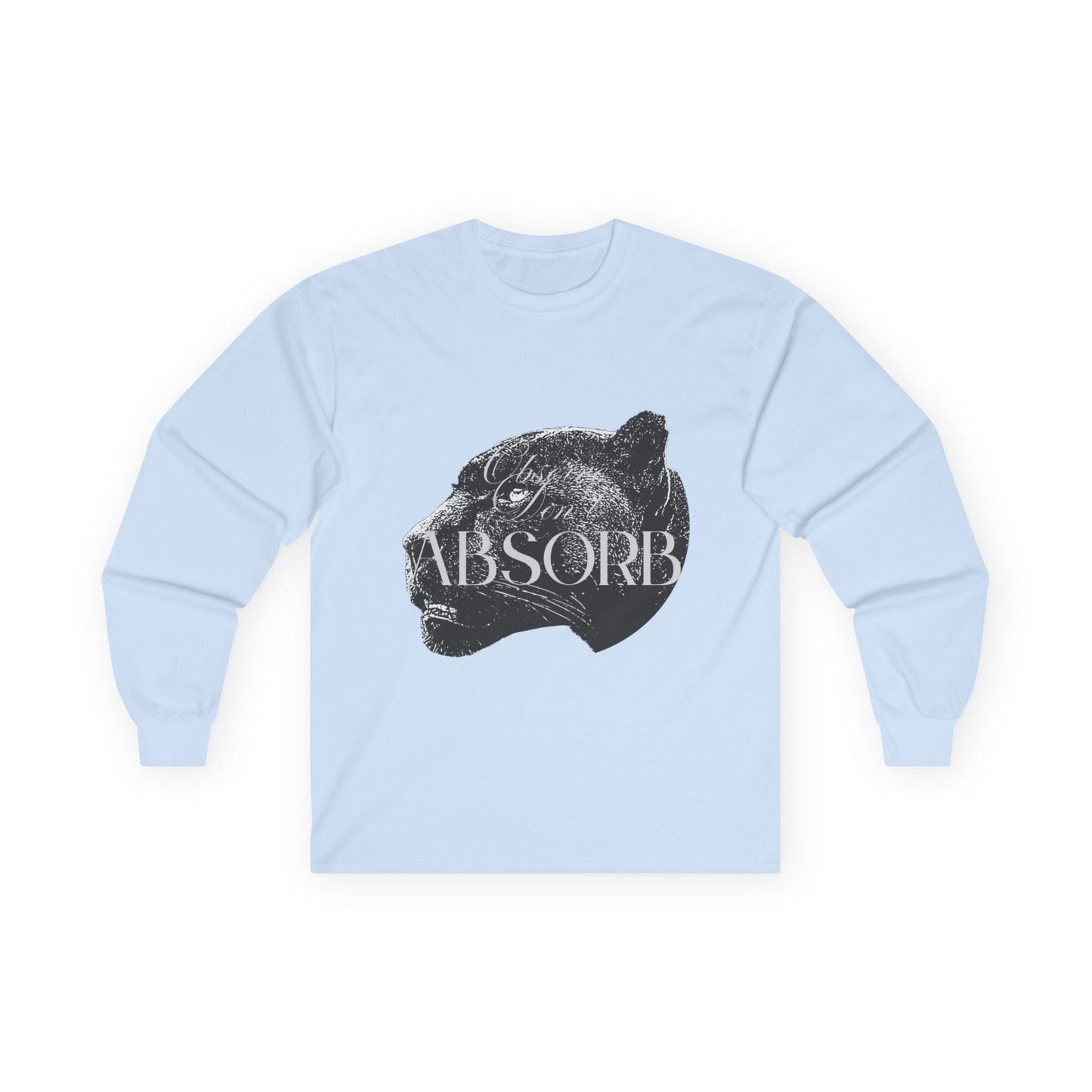 Observe Don't Absorb