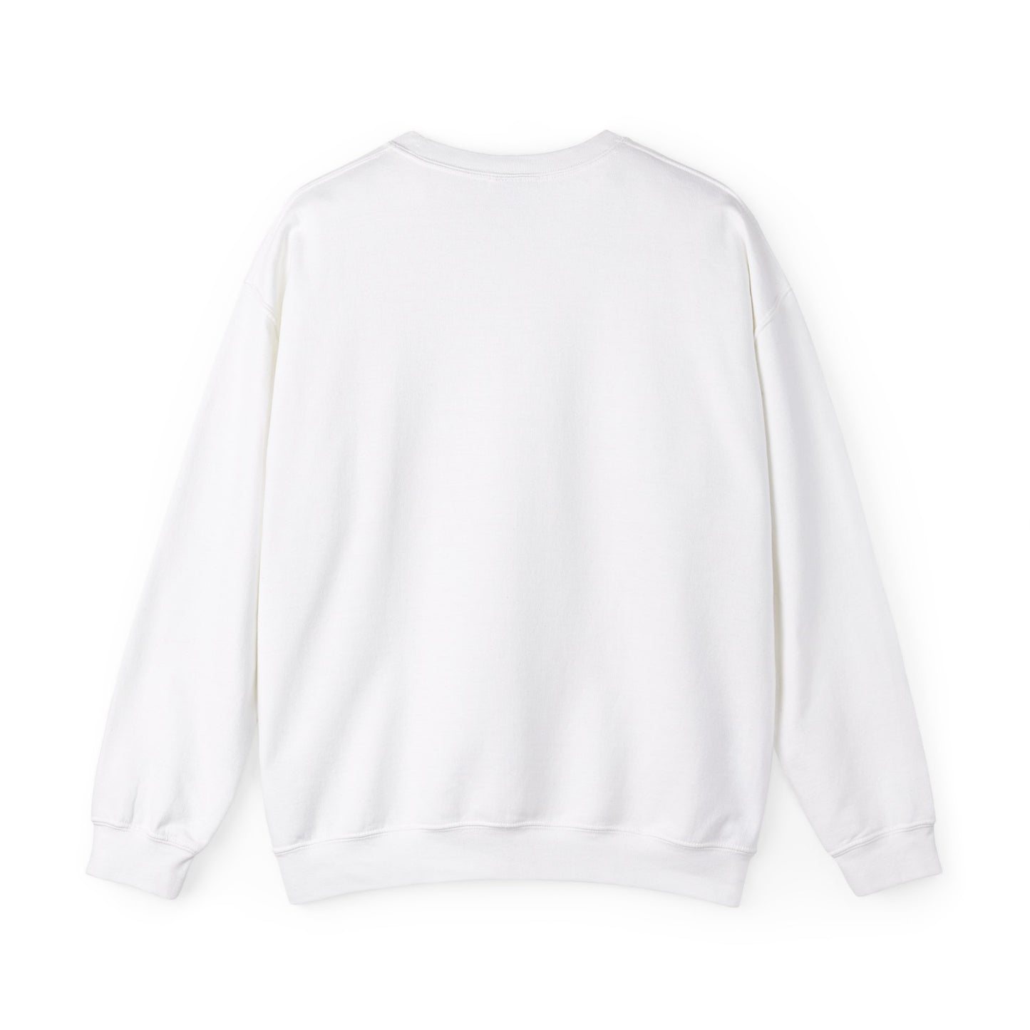 Plane Sweatshirt