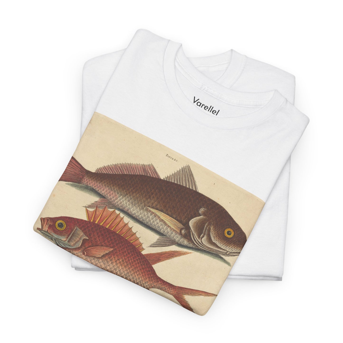 Gone Fishing