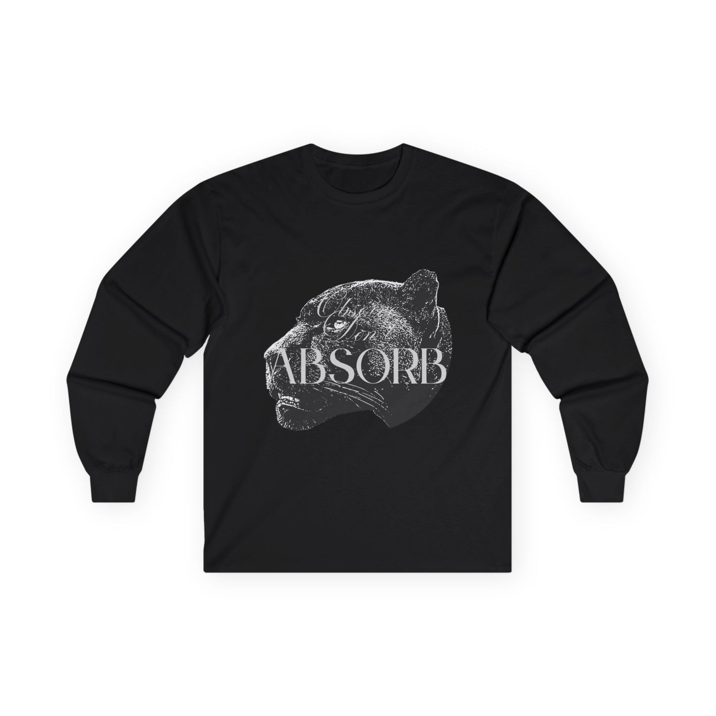 Observe Don't Absorb