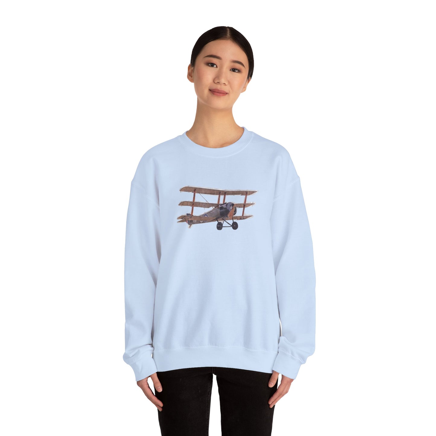Plane Sweatshirt