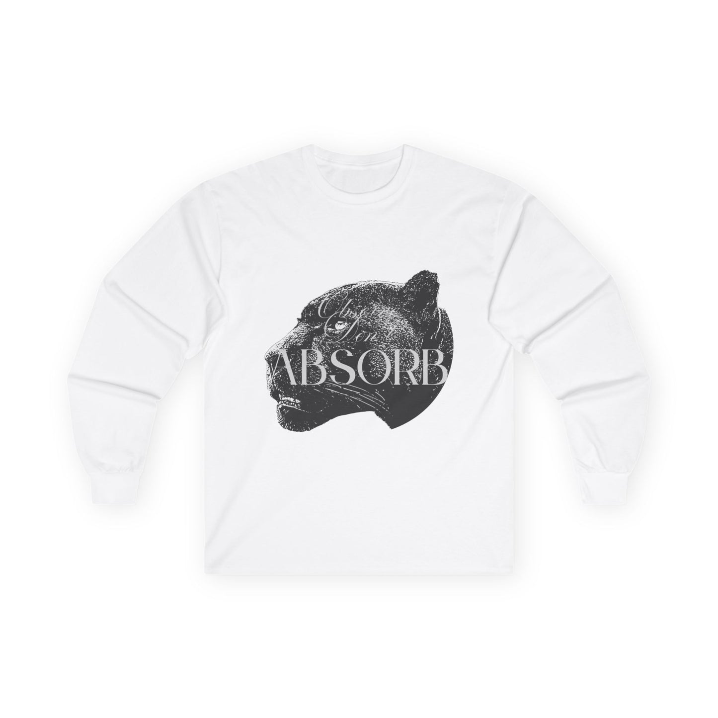 Observe Don't Absorb