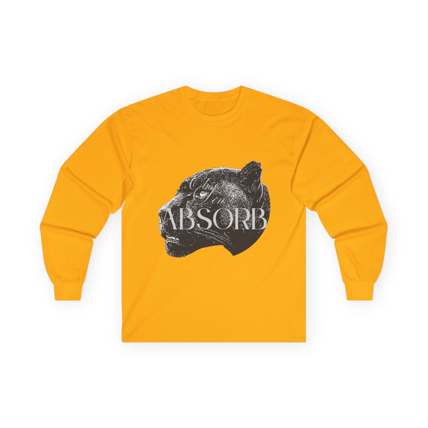 Observe Don't Absorb