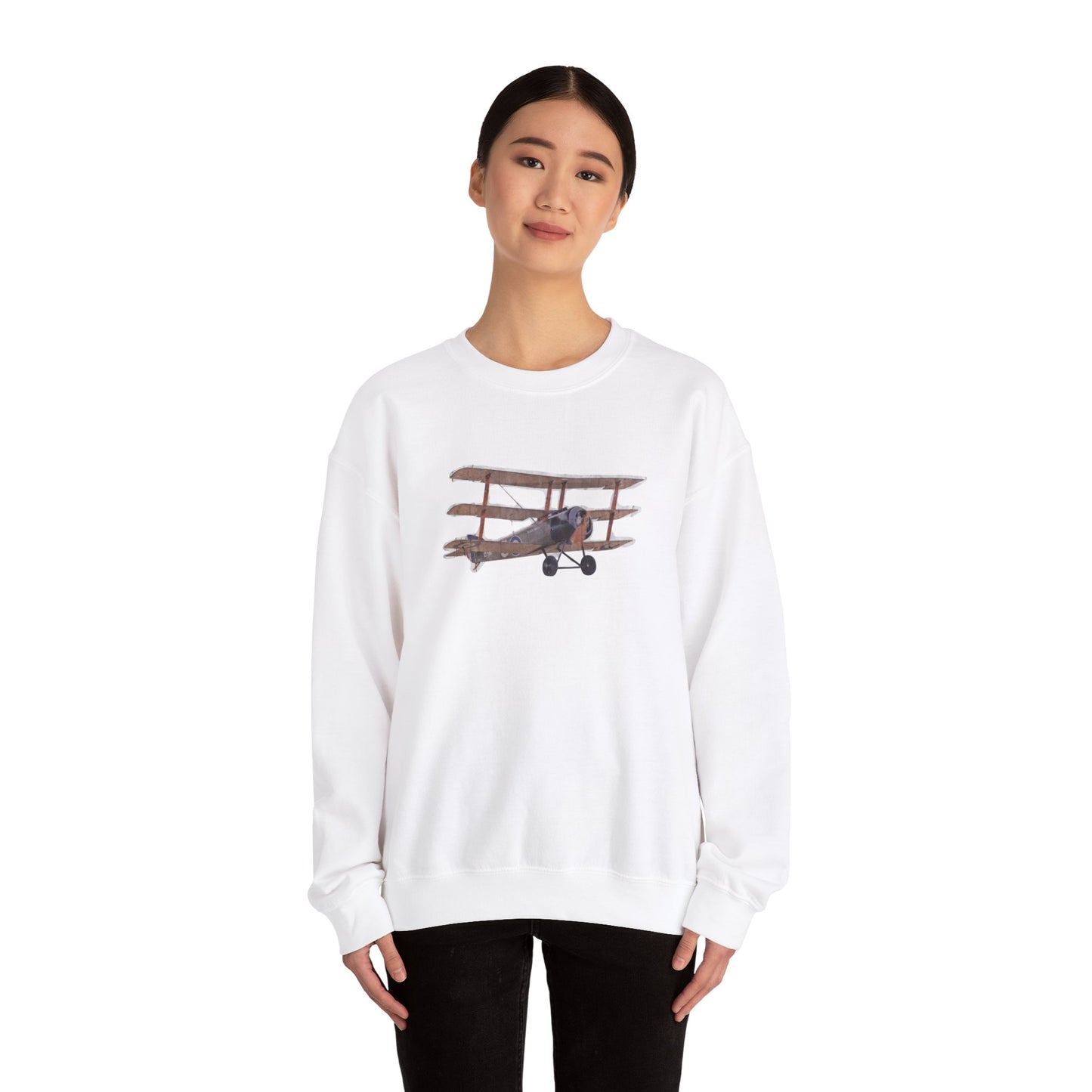 Plane Sweatshirt