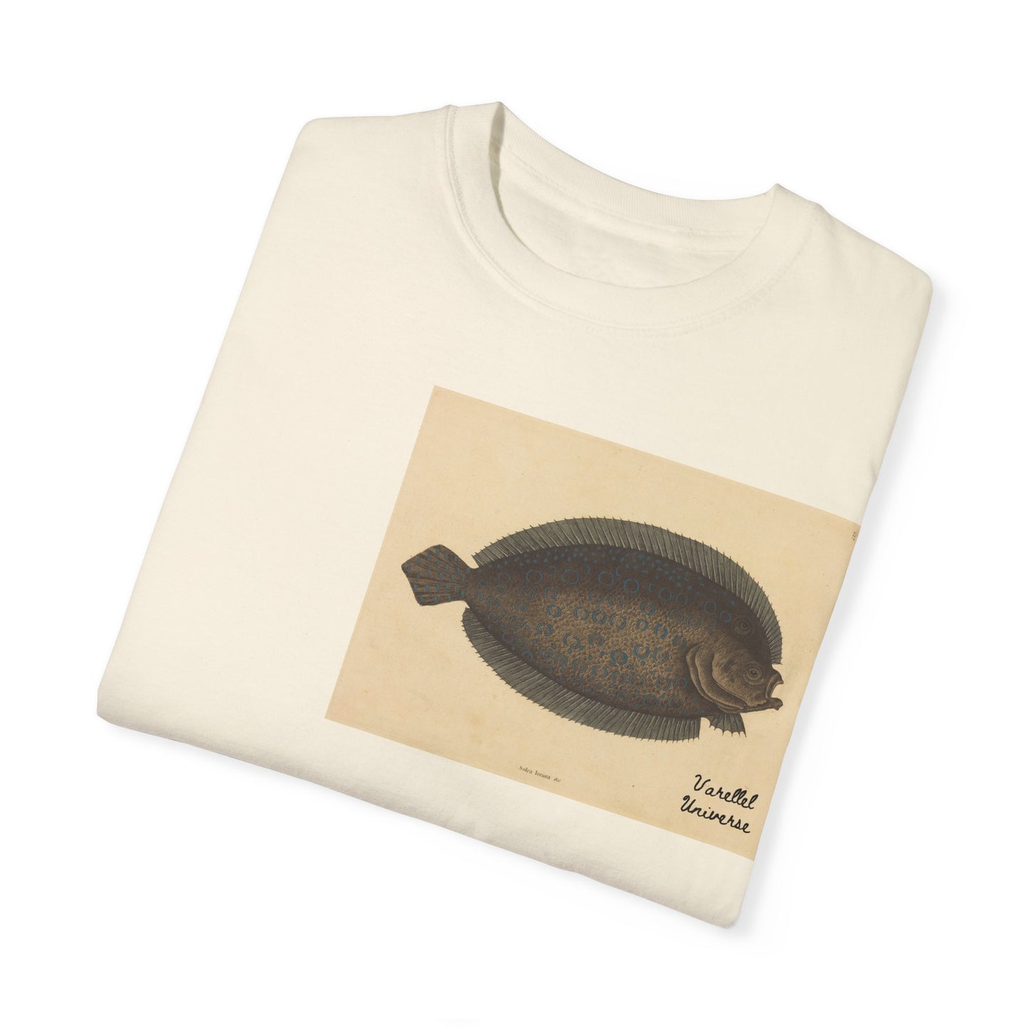 Floundering - Pleuronectes Lunatus