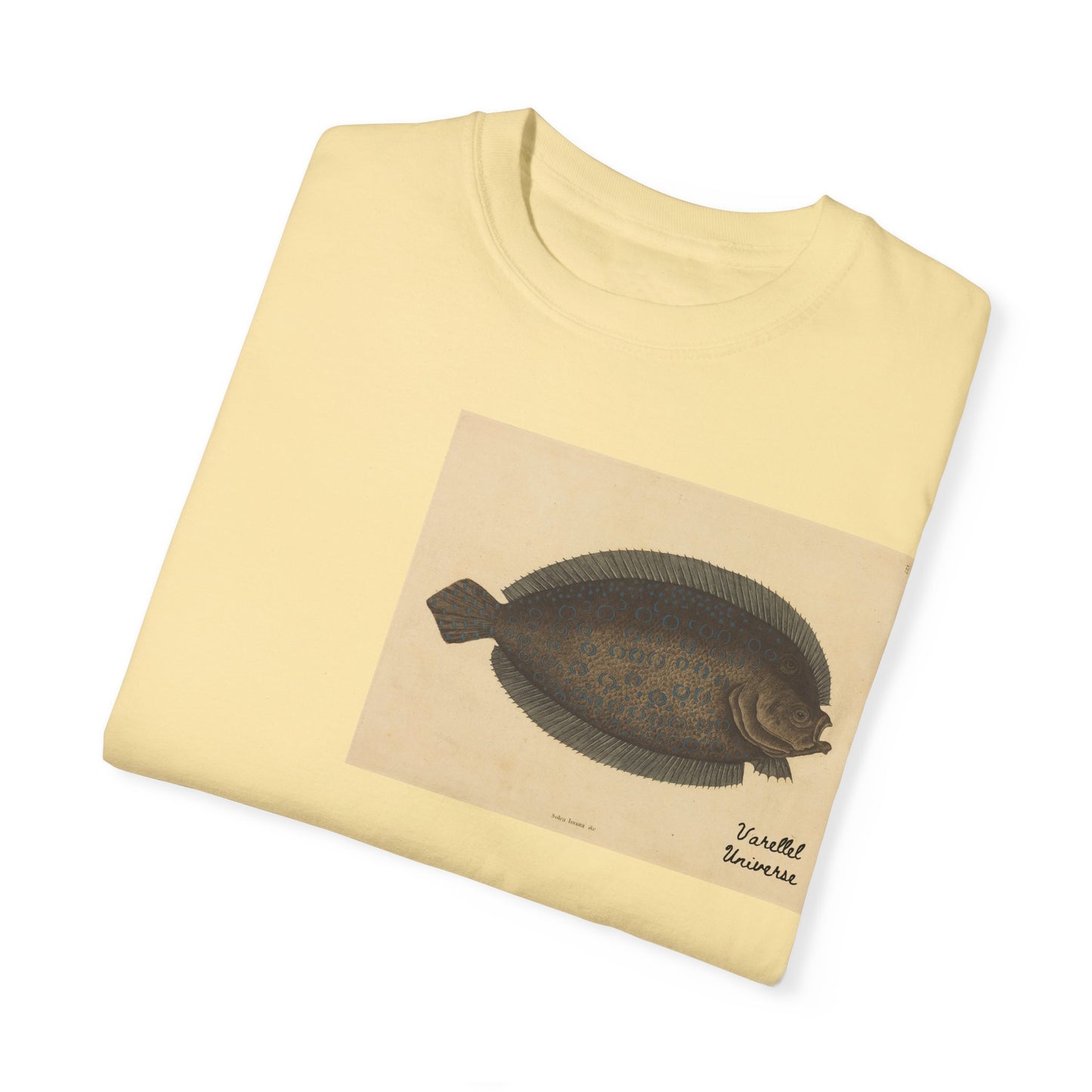Floundering - Pleuronectes Lunatus