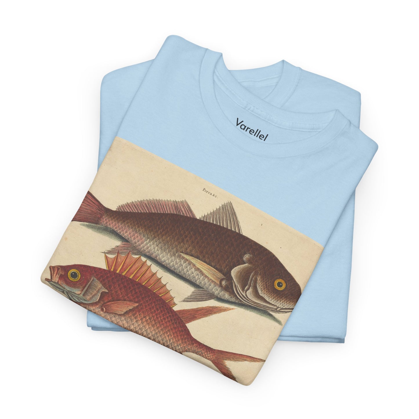 Gone Fishing