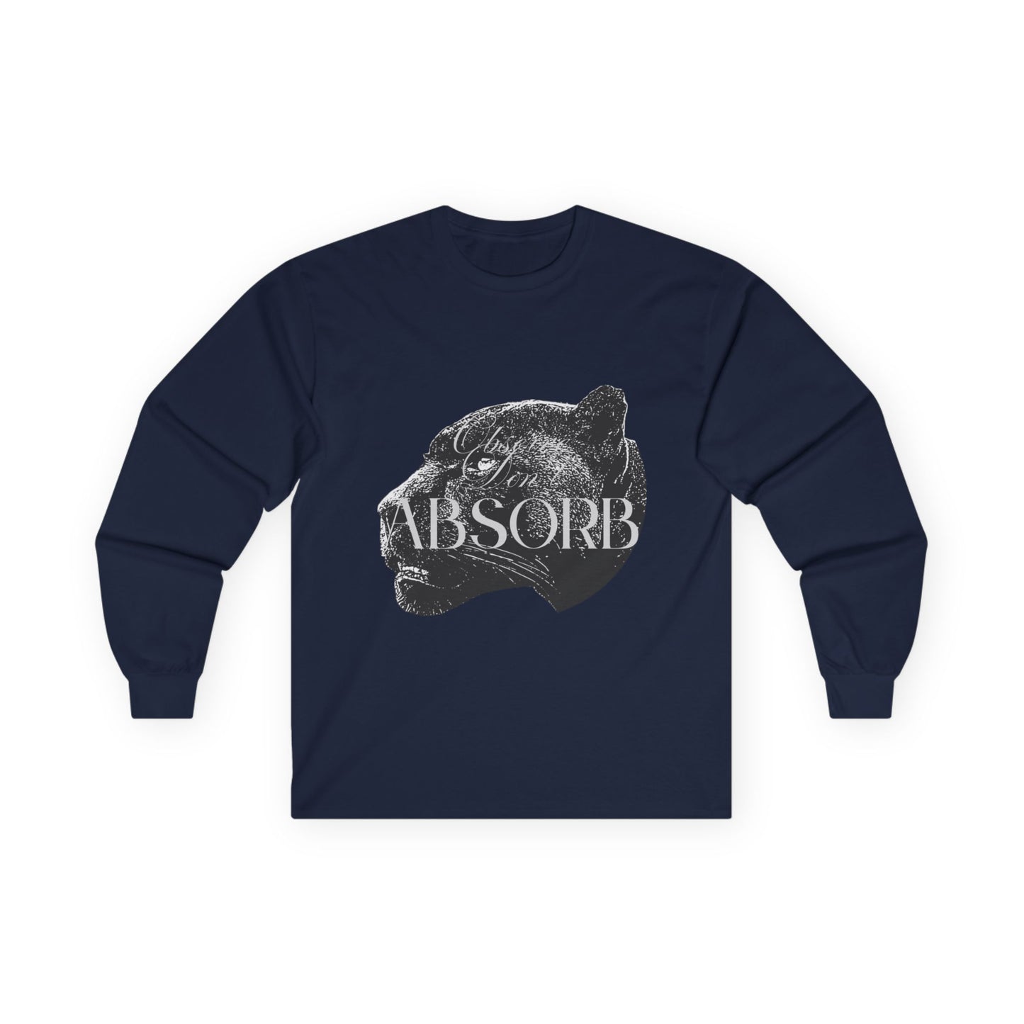 Observe Don't Absorb