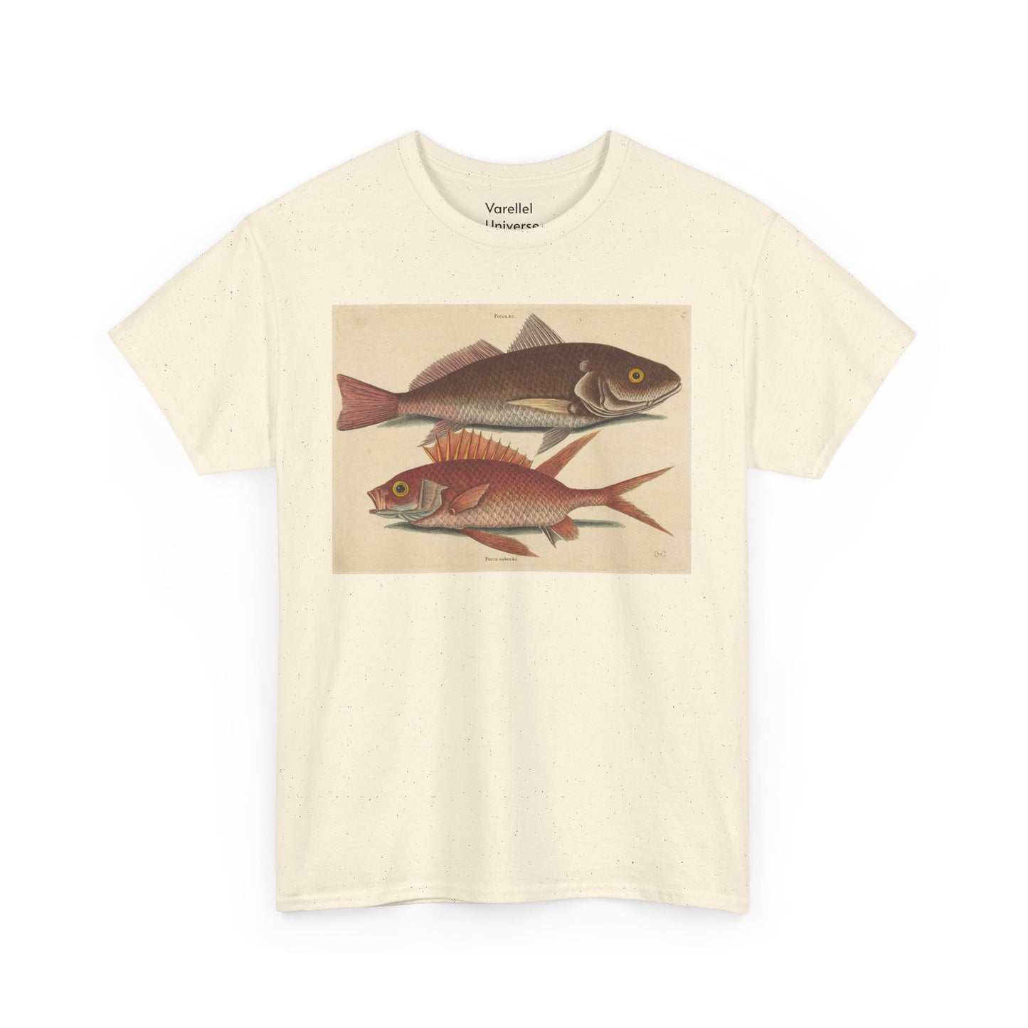 Gone Fishing