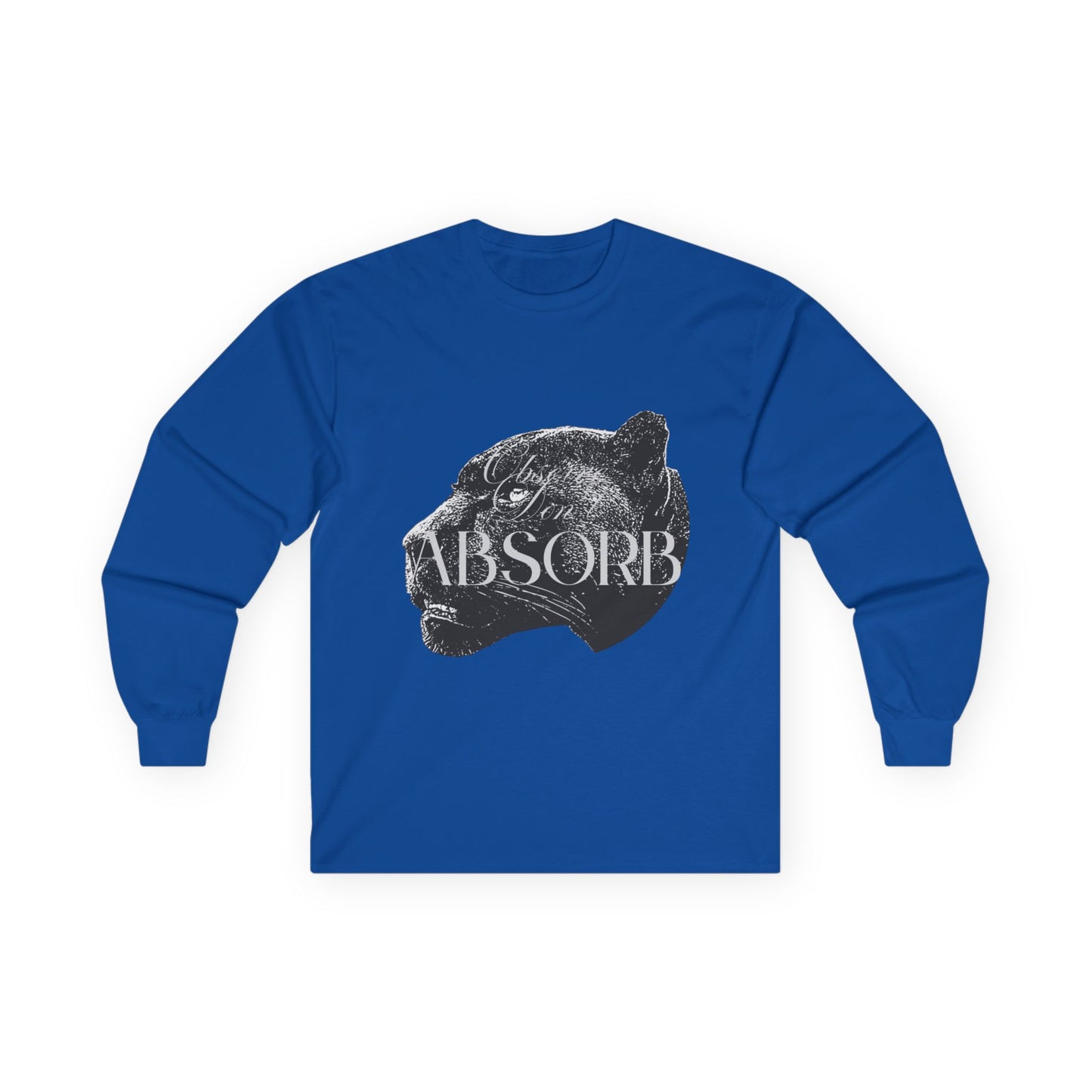 Observe Don't Absorb