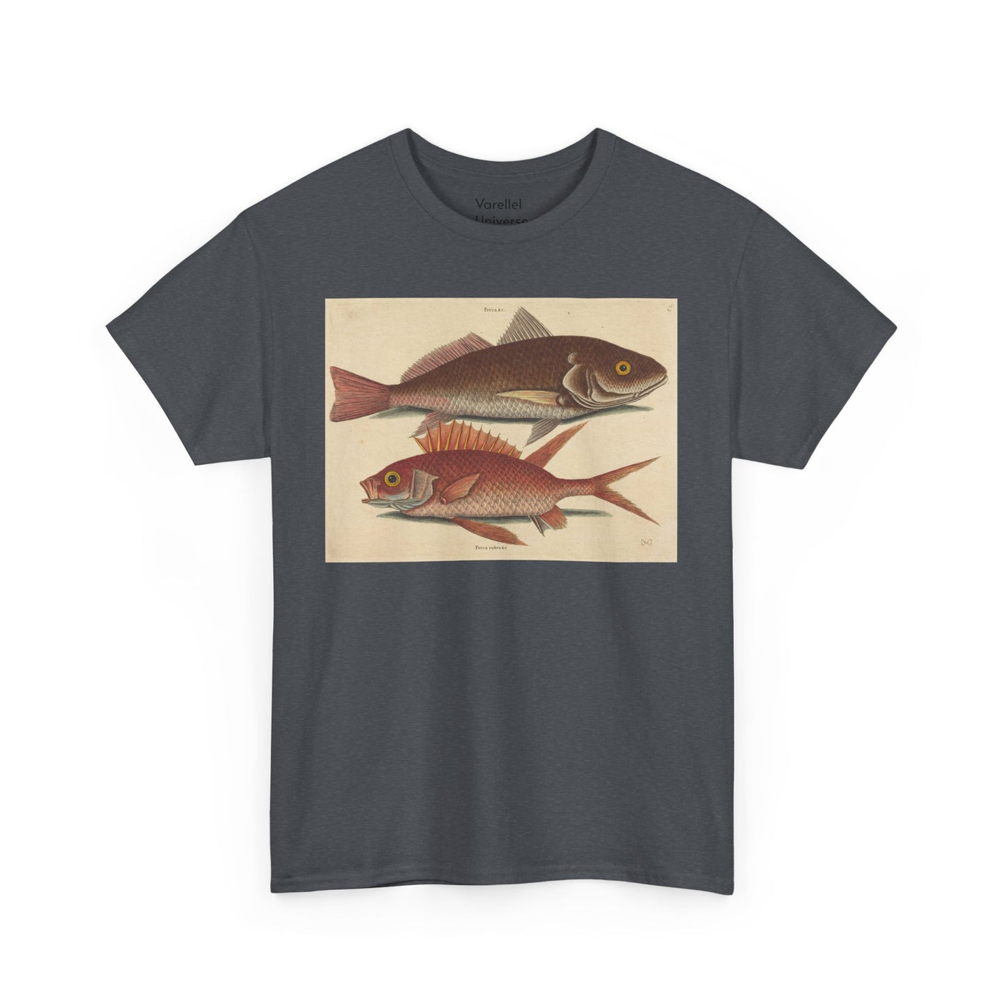 Gone Fishing
