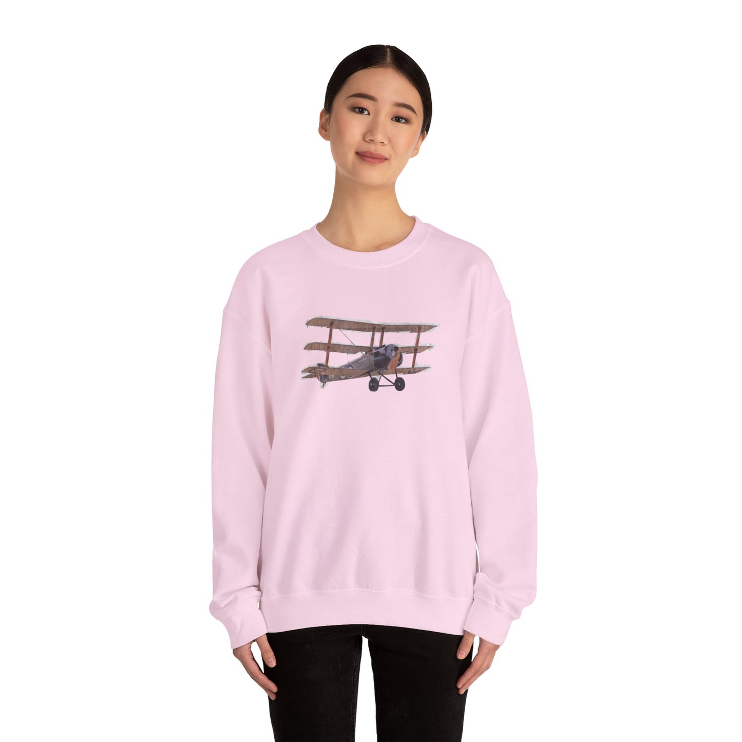 Plane Sweatshirt