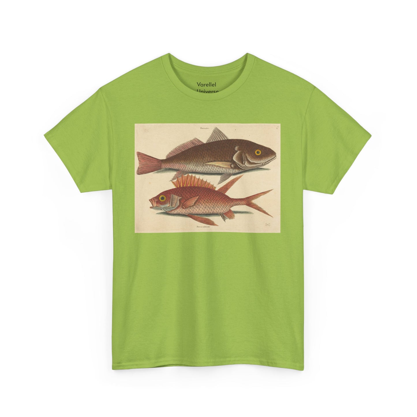 Gone Fishing