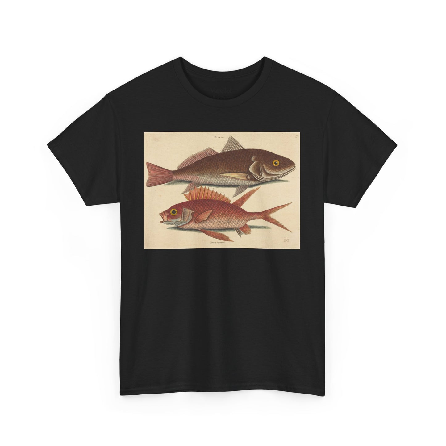 Gone Fishing