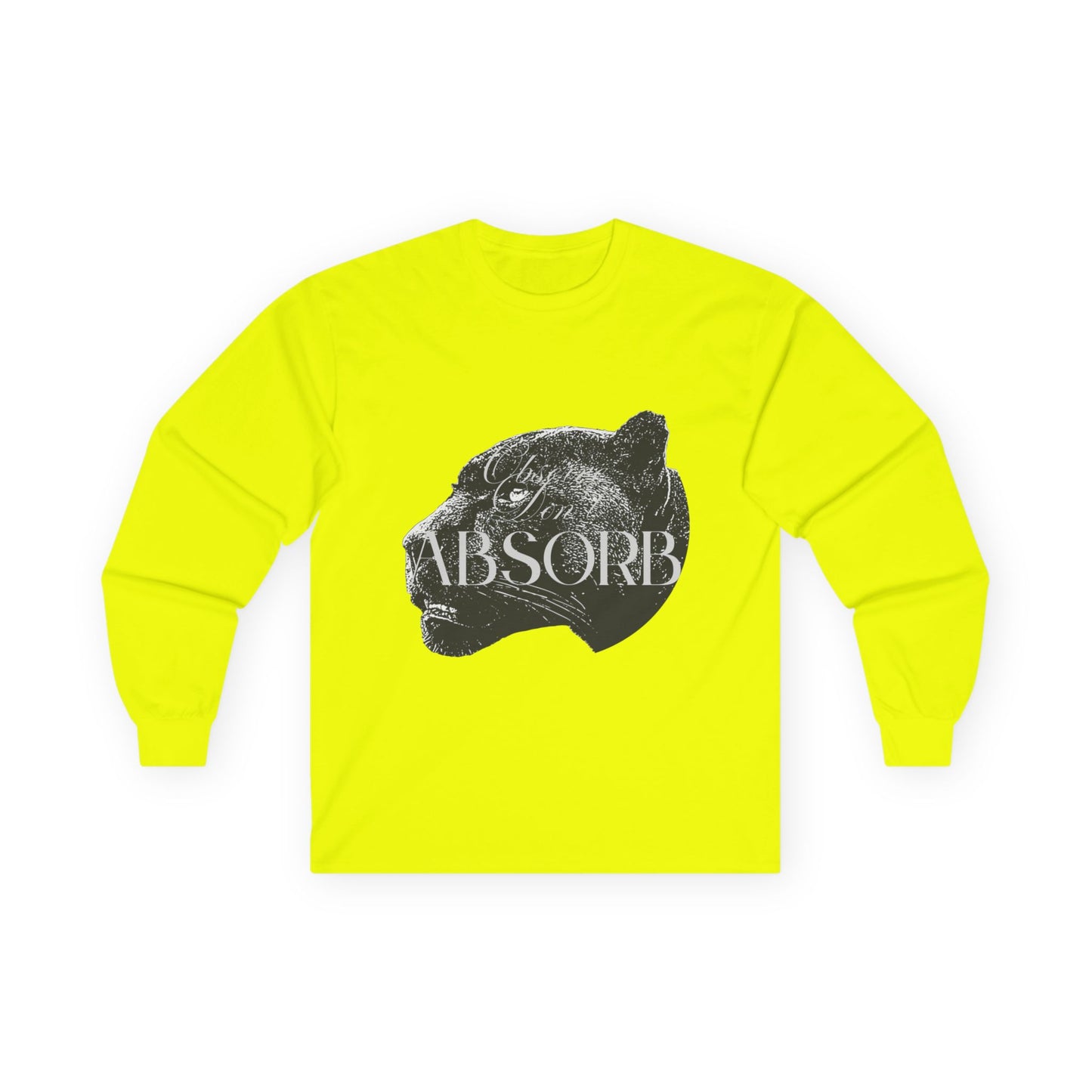 Observe Don't Absorb