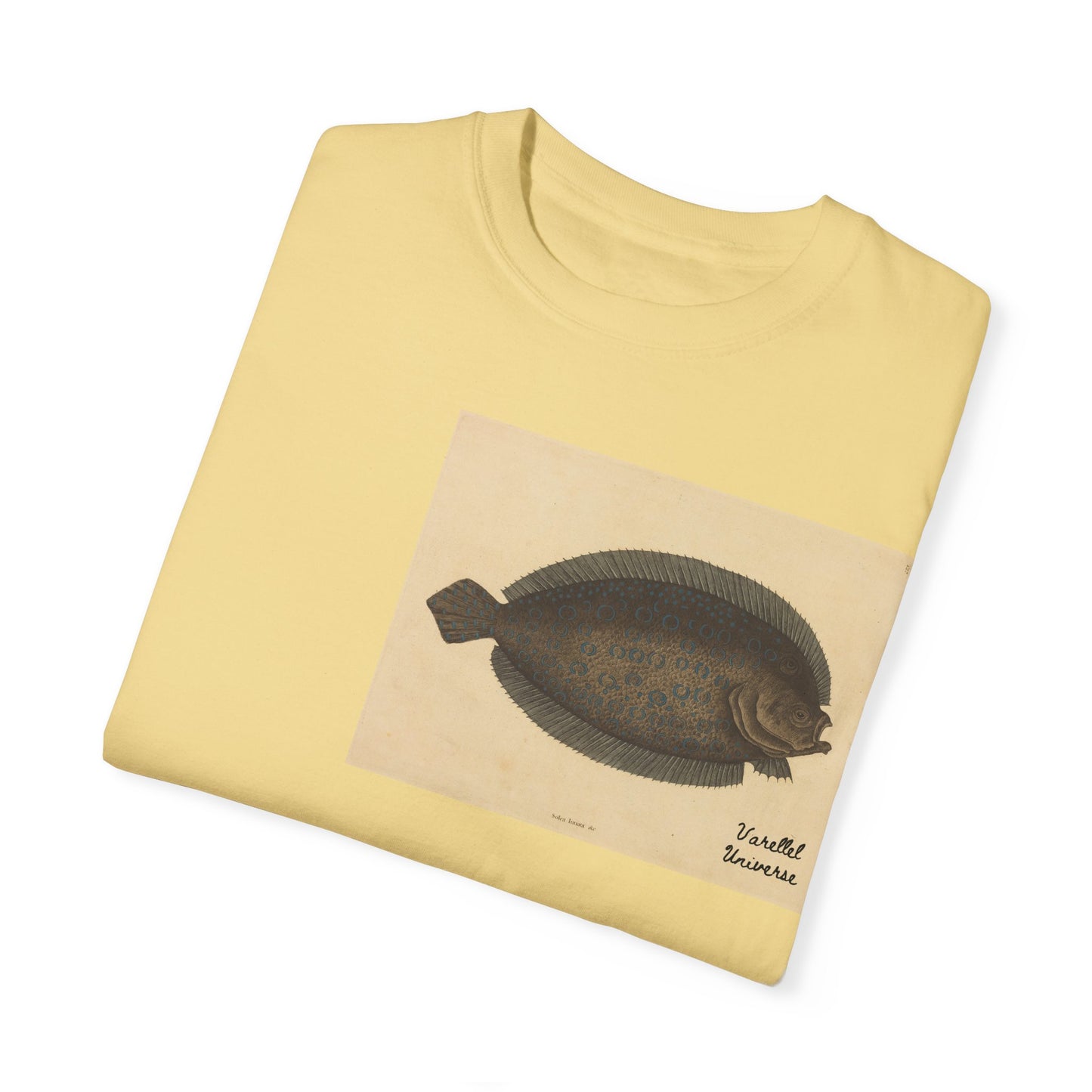 Floundering - Pleuronectes Lunatus