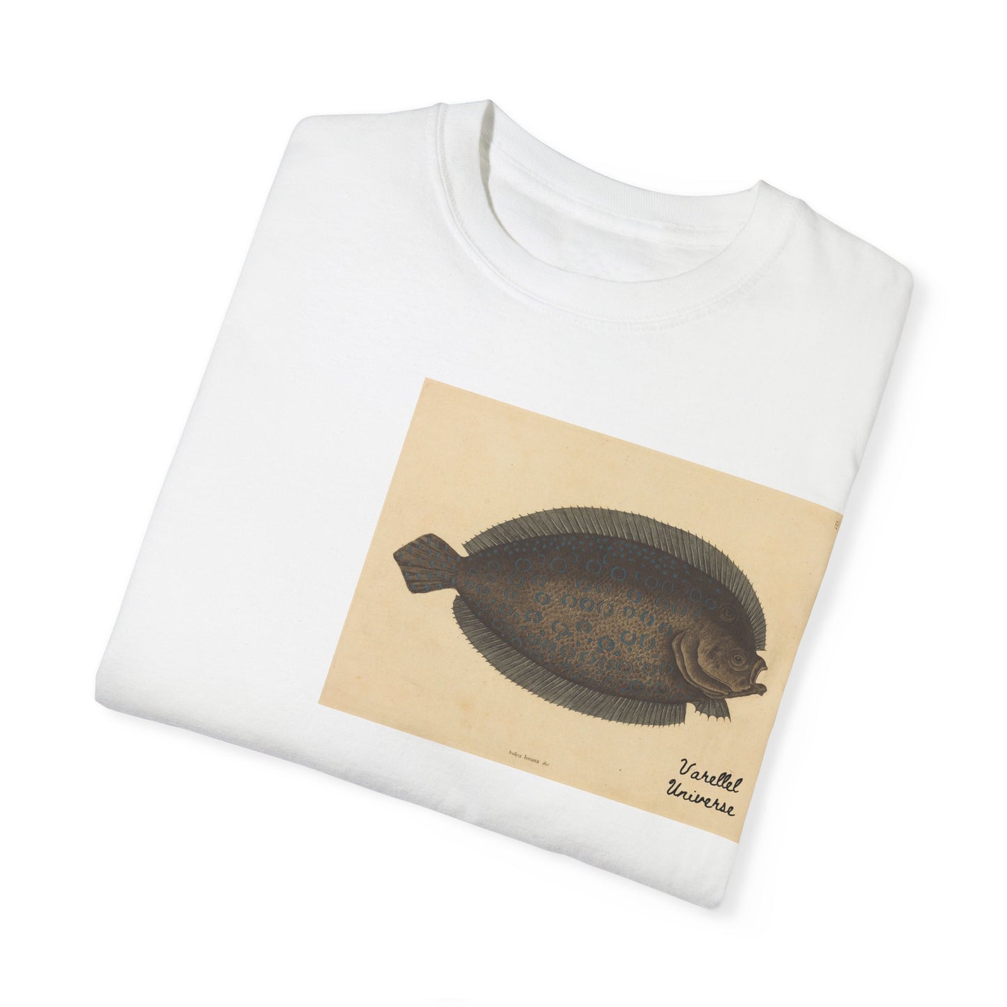Floundering - Pleuronectes Lunatus