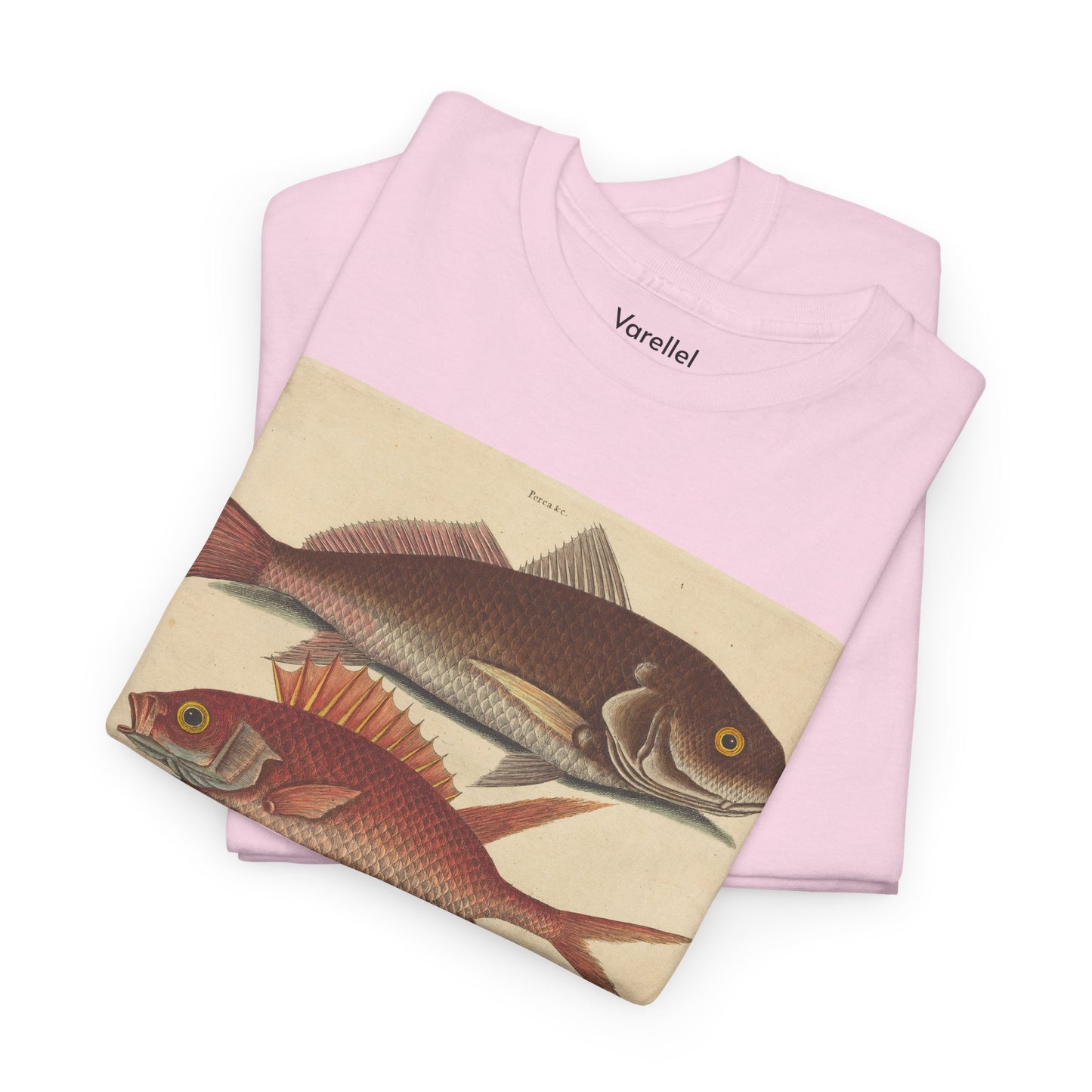 Gone Fishing