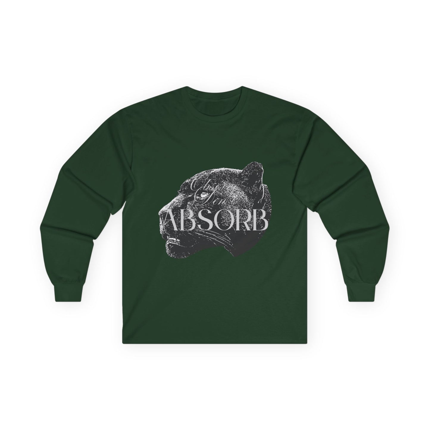 Observe Don't Absorb