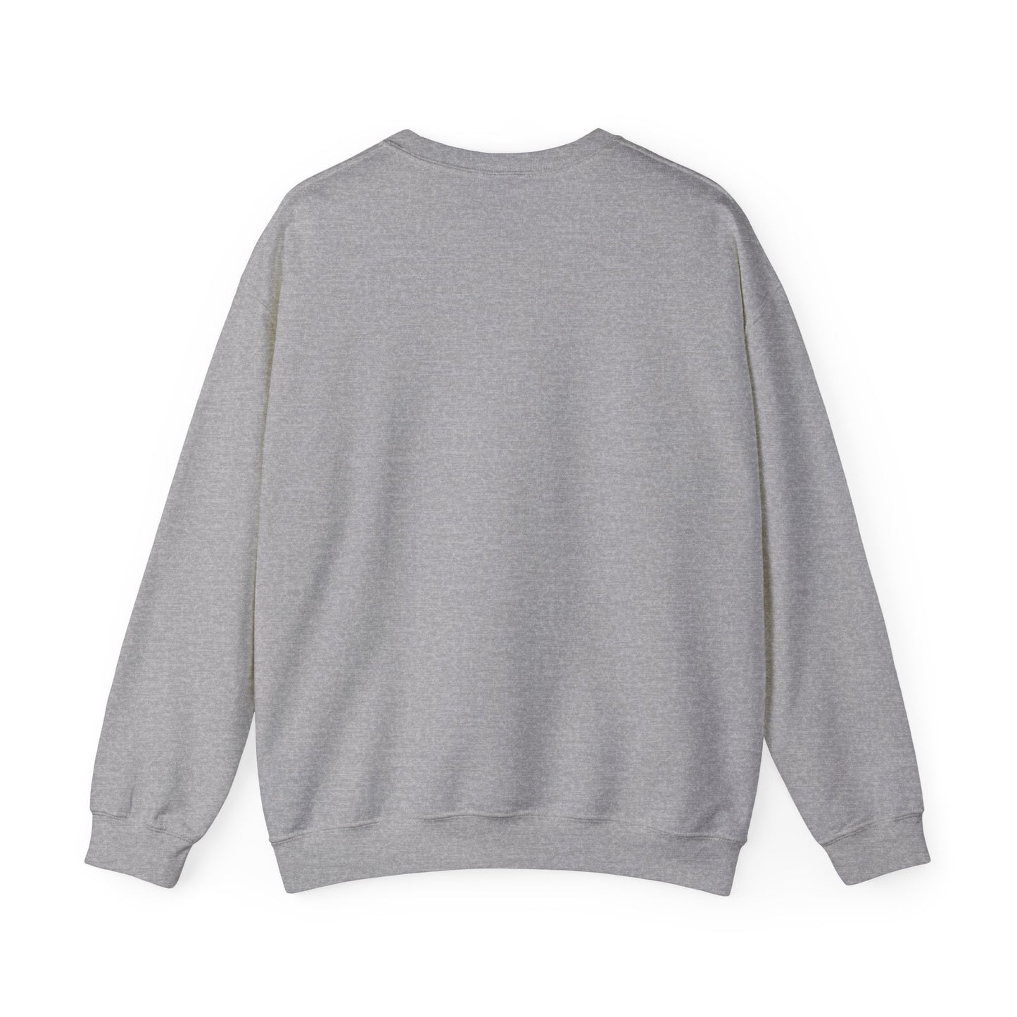 Plane Sweatshirt