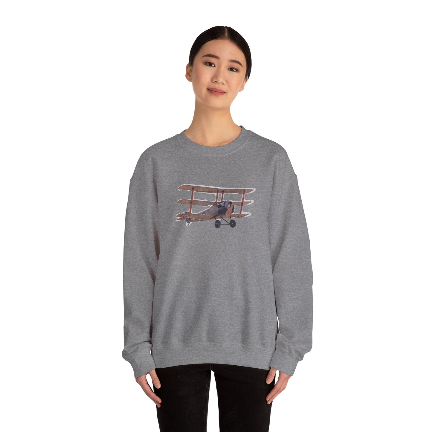Plane Sweatshirt