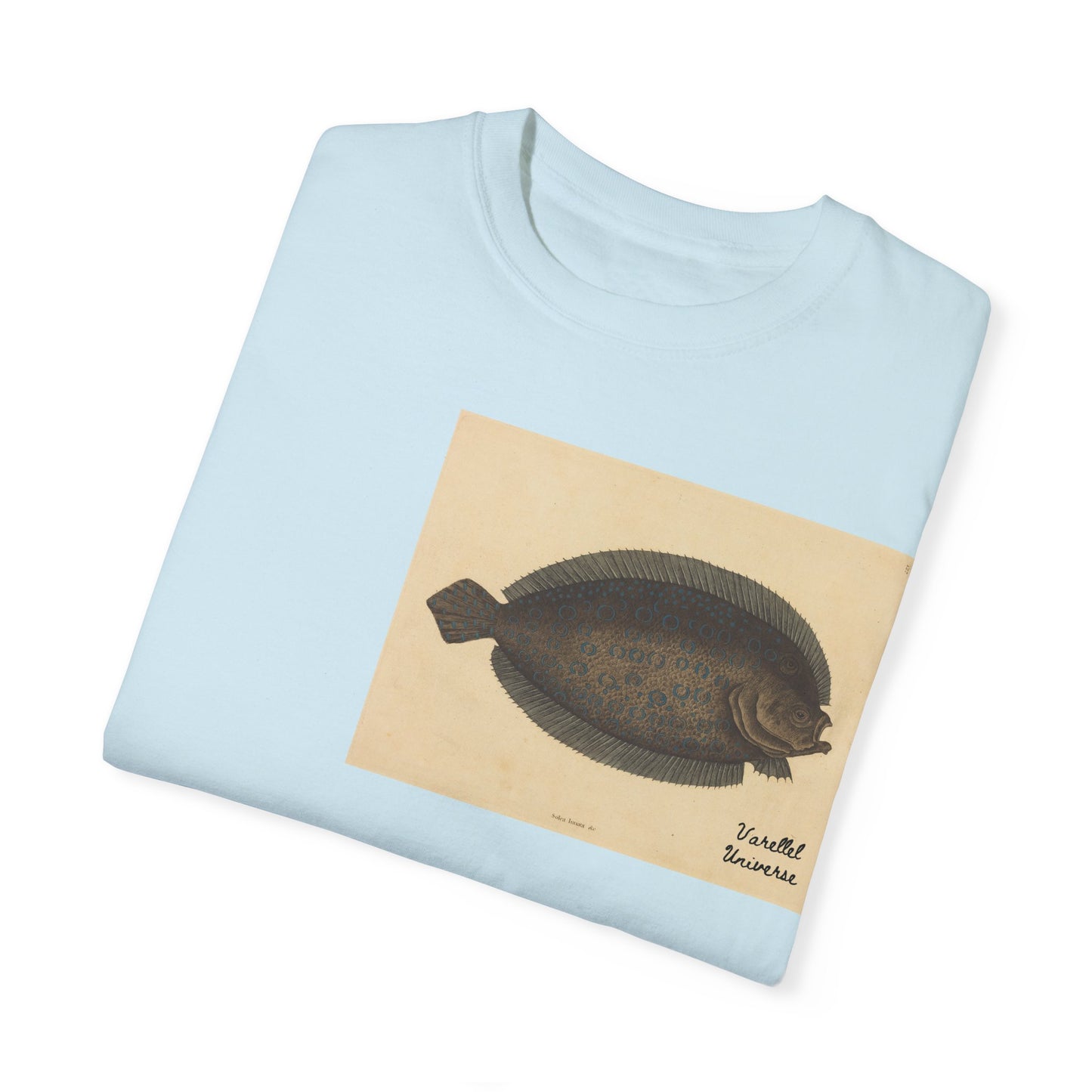 Floundering - Pleuronectes Lunatus