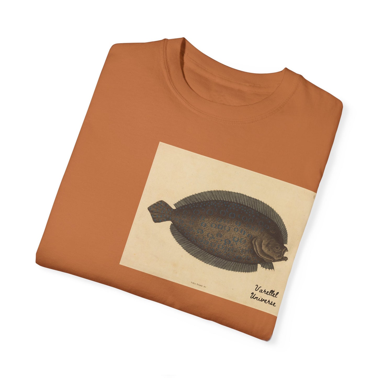 Floundering - Pleuronectes Lunatus