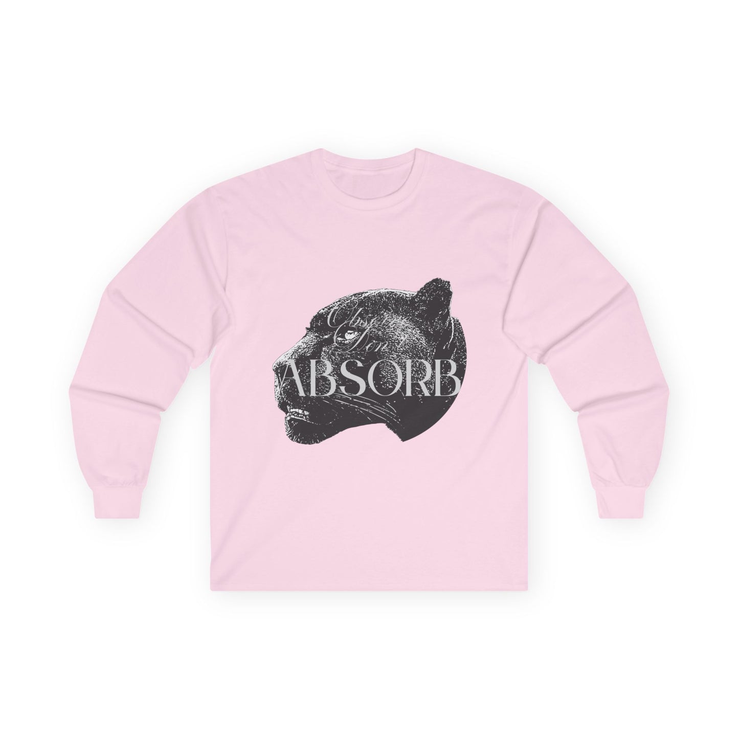 Observe Don't Absorb