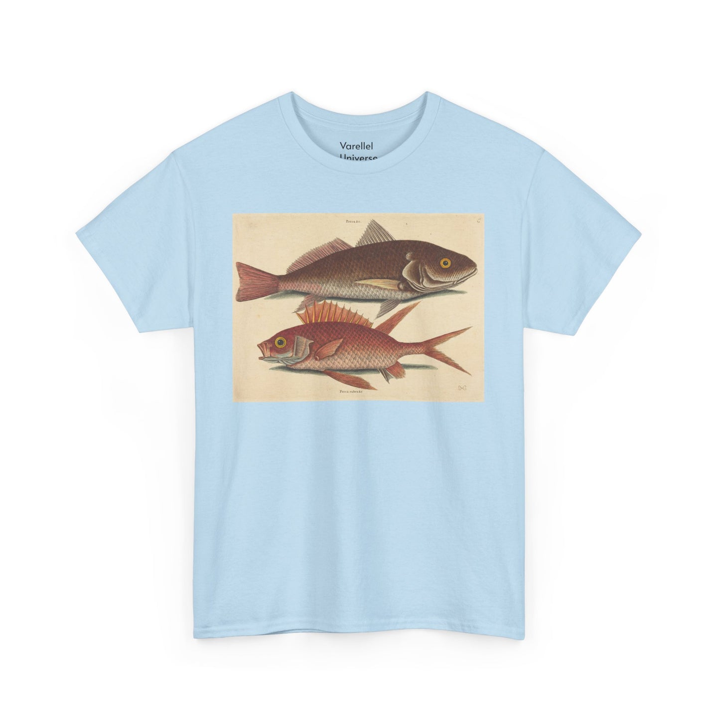 Gone Fishing