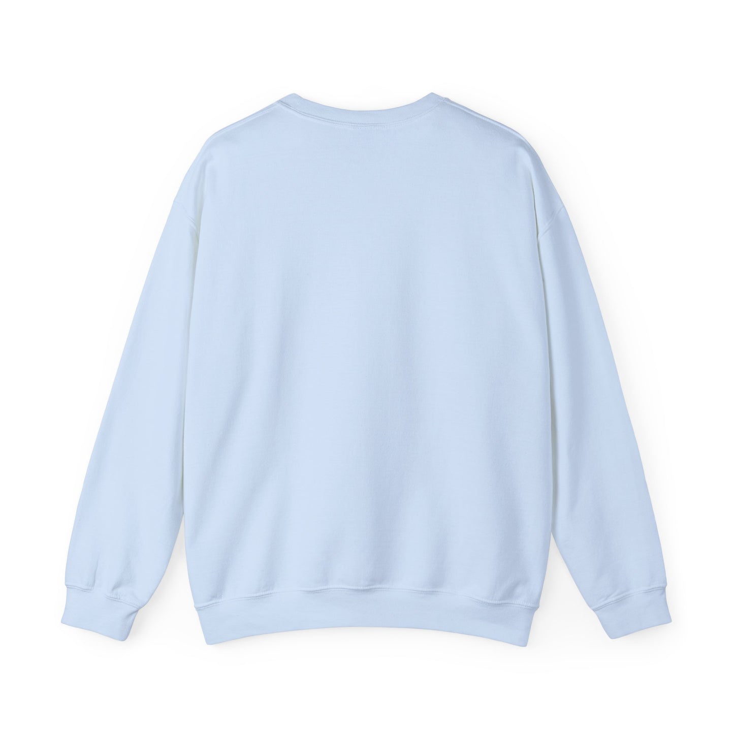 Plane Sweatshirt
