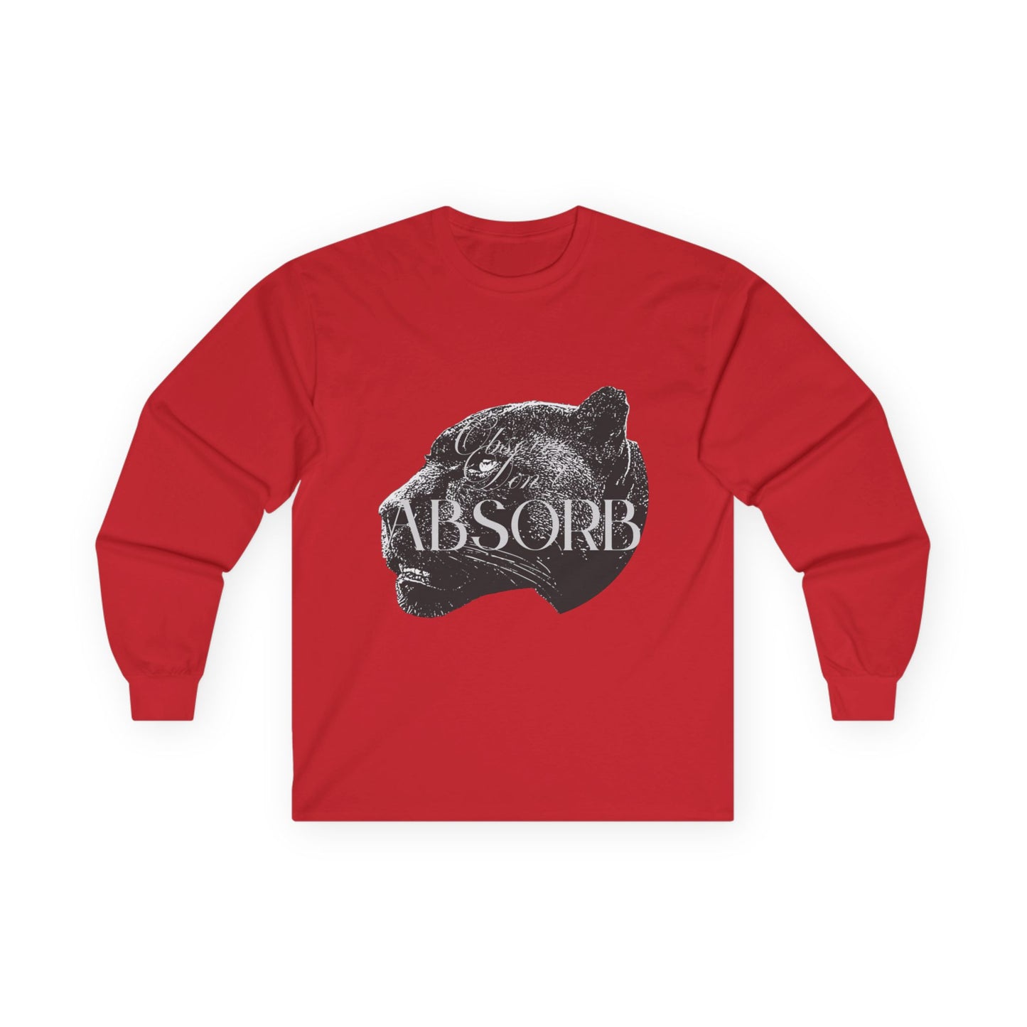 Observe Don't Absorb